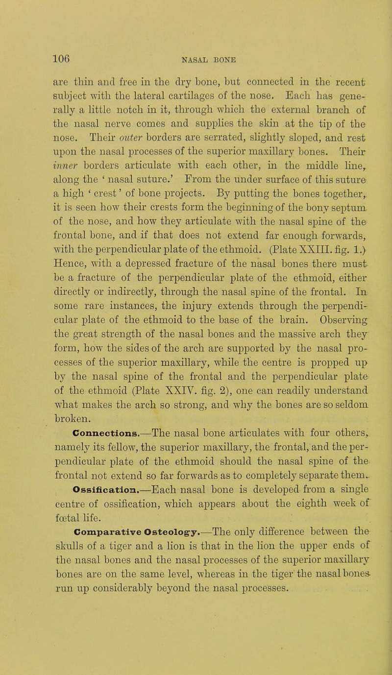 are thin and free in the dry bone, but connected in the recent subject with the lateral cartilages of the nose. Each has gene- rally a little notch in it, through which the external branch of the nasal nerve comes and supplies the skin at the tip of the nose. Their outer borders are serrated, slightly sloped, and rest upon the nasal processes of the superior maxillary bones. Their inner borders articulate with each other, in the middle line, along the ‘ nasal suture.’ From the under surface of this suture a high ‘ crest ’ of bone projects. By putting the bones together,, it is seen how their crests form the beginning of the bony septum of the nose, and how they articulate with the nasal spine of the frontal bone, and if that does not extend far enough forwards, with the perpendicular plate of the ethmoid. (Plate XXIII. fig. 1.) Hence, with a depressed fracture of the nasal bones there must be a fracture of the perpendicular plate of the ethmoid, either directly or indirectly, through the nasal spine of the frontal. In some rare instances, the injury extends through the perpendi- cular plate of the ethmoid to the base of the brain. Observing the great strength of the nasal bones and the massive arch they form, how the sides of the arch are supported by the nasal pro- cesses of the superior maxillary, while the centre is propped up by the nasal spine of the frontal and the perpendicular plate of the ethmoid (Plate XXIY. fig. 2), one can readily understand what makes the arch so strong, and why the bones are so seldom broken. Connections.—The nasal bone articulates with four others, namely its fellow, the superior maxillary, the frontal, and the per- pendicular plate of the ethmoid should the nasal spine of the frontal not extend so far forwards as to completely separate them. Ossification.—Each nasal bone is developed from a single centre of ossification, which appears about the eighth week of foetal life. Comparative Osteology.—The only difference between the skulls of a tiger and a lion is that in the lion the upper ends of the nasal bones and the nasal processes of the superior maxillary bones are on the same level, whereas in the tiger the nasal bones- run up considerably beyond the nasal processes.