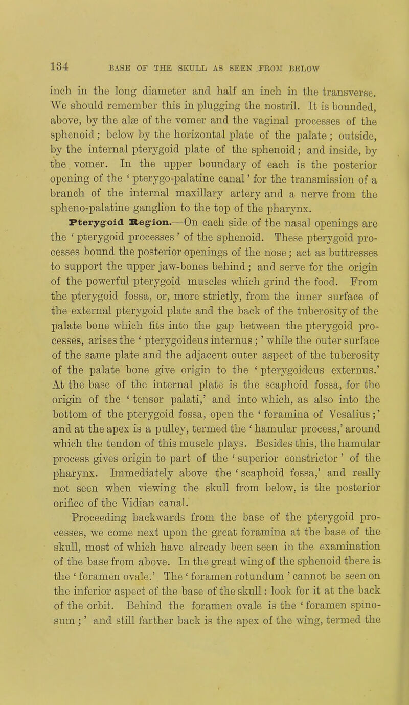 inch in the long diameter and half an inch in the transverse. We should remember this in plugging the nostril. It is bounded, above, by the alse of the vomer and the vaginal processes of the sphenoid ; below by the horizontal plate of the palate ; outside, by the internal pterygoid plate of the sphenoid; and inside, by the vomer. In the upper boundary of each is the posterior opening of the £ pterygo-palatine canal ’ for the transmission of a branch of the internal maxillary artery and a nerve from the spheno-palatine ganglion to the top of the pharynx. Pteryg-oid Reg ion.—On each side of the nasal openings are the ‘ pterygoid processes ’ of the sphenoid. These pterygoid pro- cesses bound the posterior openings of the nose; act as buttresses to support the upper jaw-bones behind; and serve for the origin of the powerful pterygoid muscles which grind the food. From the pterygoid fossa, or, more strictly, from the inner surface of the external pterygoid plate and the back of the tuberosity of the palate hone which fits into the gap between the pterygoid pro- cesses, arises the ‘ pterygoideus interims; ’ while the outer surface of the same plate and the adjacent outer aspect of the tuberosity of the palate bone give origin to the ‘ pterygoideus externus.’ At the base of the internal plate is the scaphoid fossa, for the origin of the c tensor palati,’ and into which, as also into the bottom of the pterygoid fossa, open the ‘ foramina of Vesalius;’ and at the apex is a pulley, termed the £ hamular process,’ around which the tendon of this muscle plays. Besides this, the hamular process gives origin to part of the £ superior constrictor ’ of the pharynx. Immediately above the £ scaphoid fossa,’ and really not seen when viewing the skull from below, is the posterior orifice of the Vidian canal. Proceeding backwards from the base of the pterygoid pro- cesses, we come next upon the great foramina at the base of the skull, most of which have already been seen in the examination of the base from above. In the great wing of the sphenoid there is the £ foramen ovale.’ The £ foramen rotundum ’ cannot be seen on the inferior aspect of the base of the skull: look for it at the back of the orbit. Behind the foramen ovale is the £ foramen spino- sum ; ’ and still farther back is the apex of the wing, termed the