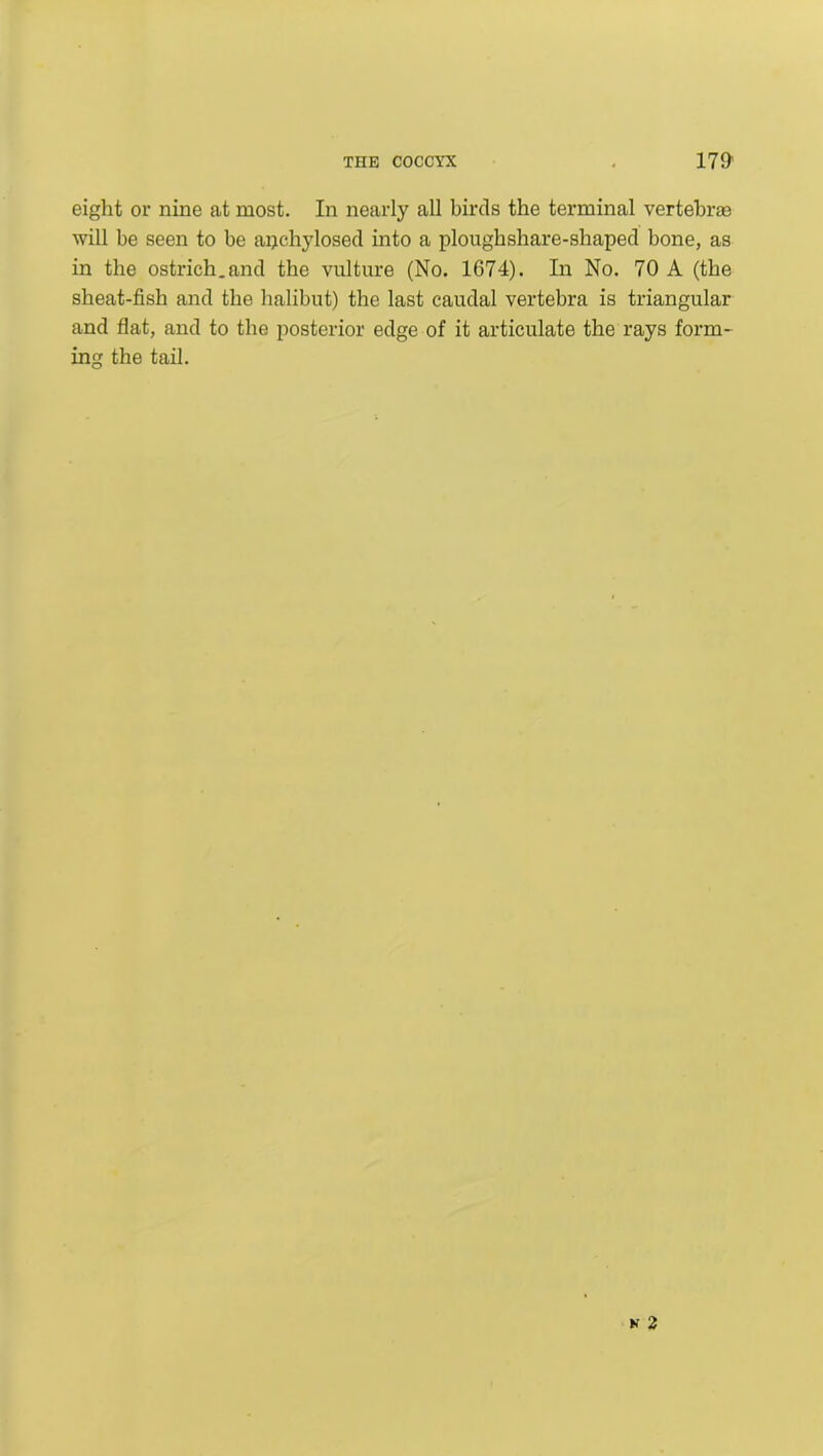 eight or nine at most. In nearly all birds the terminal vertebrae will be seen to be aijchylosed into a ploughshare-shaped bone, as in the ostrich, and the vulture (No. 1674). In No. 70 A (the sheat-fish and the halibut) the last caudal vertebra is triangular and flat, and to the posterior edge of it articulate the rays form- ing the tail.