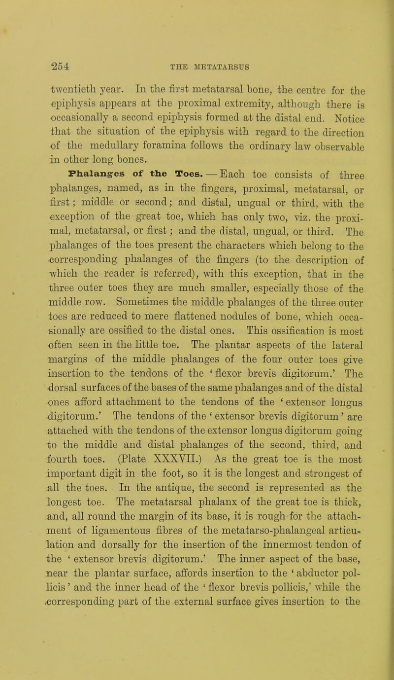 twentieth year. In the first metatarsal hone, the centre for the epiphysis appears at the proximal extremity, although there is occasionally a second epiphysis formed at the distal end. Notice that the situation of the epiphysis with regard to the direction of the medullary foramina follows the ordinary law observable in other long bones. Phalanges of the Toes.—Each toe consists of three phalanges, named, as in the fingers, proximal, metatarsal, or first; middle or second; and distal, ungual or third, with the exception of the great toe, which has only two, viz. the proxi- mal, metatarsal, or first; and the distal, ungual, or third. The phalanges of the toes present the characters which belong to the ■corresponding phalanges of the fingers (to the description of which the reader is referred), with this exception, that in the three outer toes they are much smaller, especially those of the middle row. Sometimes the middle phalanges of the three outer toes are reduced to mere flattened nodules of bone, which occa- sionally are ossified to the distal ones. This ossification is most often seen in the little toe. The plantar aspects of the lateral margins of the middle phalanges of the four outer toes give insertion to the tendons of the ‘ flexor brevis digitorum.’ The dorsal surfaces of the bases of the same phalanges and of the distal ones afford attachment to the tendons of the £ extensor longus digitorum.’ The tendons of the ‘ extensor brevis digitorum ’ are attached with the tendons of the extensor longus digitorum going to the middle and distal phalanges of the second, third, and fourth toes. (Plate XXXVII.) As the great toe is the most important digit in the foot, so it is the longest and strongest of all the toes. In the antique, the second is represented as the longest toe. The metatarsal phalanx of the great toe is thick, and, all round the margin of its base, it is rough for the attach- ment of ligamentous fibres of the metatarso-phalangeal articu- lation and dorsally for the insertion of the innermost tendon of the ‘ extensor brevis digitorum.’ The inner aspect of the base, near the plantar surface, affords insertion to the ‘ abductor pol- licis ’ and the inner head of the ‘ flexor brevis pollicis,' while the .corresponding part of the external surface gives insertion to the