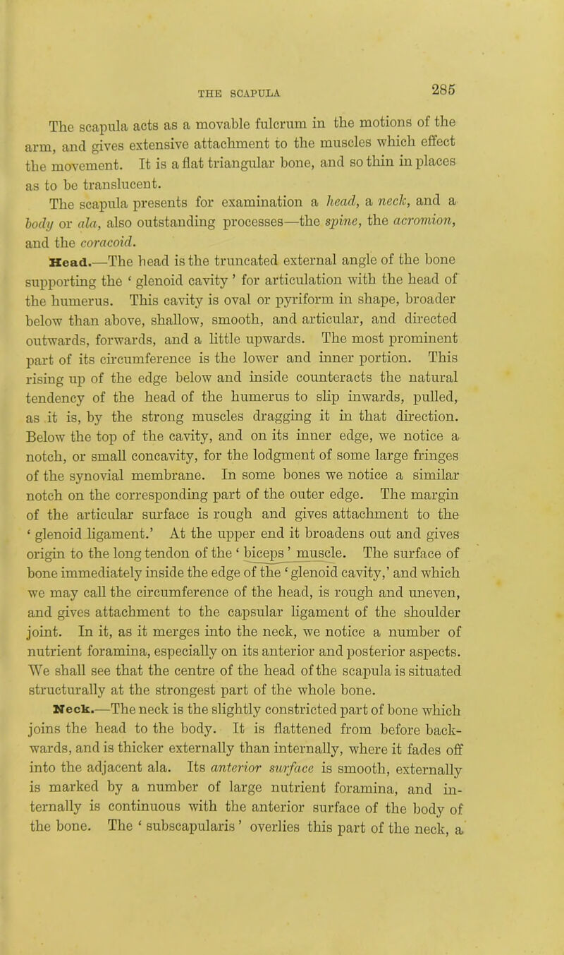 The scapula acts as a movable fulcrum in the motions of the arm, and gives extensive attachment to the muscles which effect the movement. It is a flat triangular bone, and so thin in places as to be translucent. The scapula presents for examination a head, a neck, and a body or ala, also outstanding processes—the spine, the acromion, and the coracoid. Head.—The head is the truncated external angle of the bone supporting the ‘ glenoid cavity ’ for articulation with the head of the humerus. This cavity is oval or pyriform in shape, broader below than above, shallow, smooth, and articular, and directed outwards, forwards, and a little upwards. The most prominent part of its circumference is the lower and inner portion. This rising up of the edge below and inside counteracts the natural tendency of the head of the humerus to slip inwards, pulled, as it is, by the strong muscles dragging it in that direction. Below the top of the cavity, and on its inner edge, we notice a notch, or small concavity, for the lodgment of some large fringes of the synovial membrane. In some bones we notice a similar notch on the corresponding part of the outer edge. The margin of the articular surface is rough and gives attachment to the 1 glenoid ligament.’ At the upper end it broadens out and gives origin to the long tendon of the ‘ biceps ’ muscle. The surface of bone immediately inside the edge of the ‘ glenoid cavity,’ and which we may call the circumference of the head, is rough and uneven, and gives attachment to the capsular ligament of the shoulder joint. In it, as it merges into the neck, we notice a number of nutrient foramina, especially on its anterior and posterior aspects. We shall see that the centre of the head of the scapula is situated structurally at the strongest part of the whole bone. Neck.—The neck is the slightly constricted part of bone which joins the head to the body. It is flattened from before back- wards, and is thicker externally than internally, where it fades off into the adjacent ala. Its anterior surface is smooth, externally is marked by a number of large nutrient foramina, and in- ternally is continuous with the anterior surface of the body of the bone. The ‘ subscapularis ’ overlies this part of the neck, a