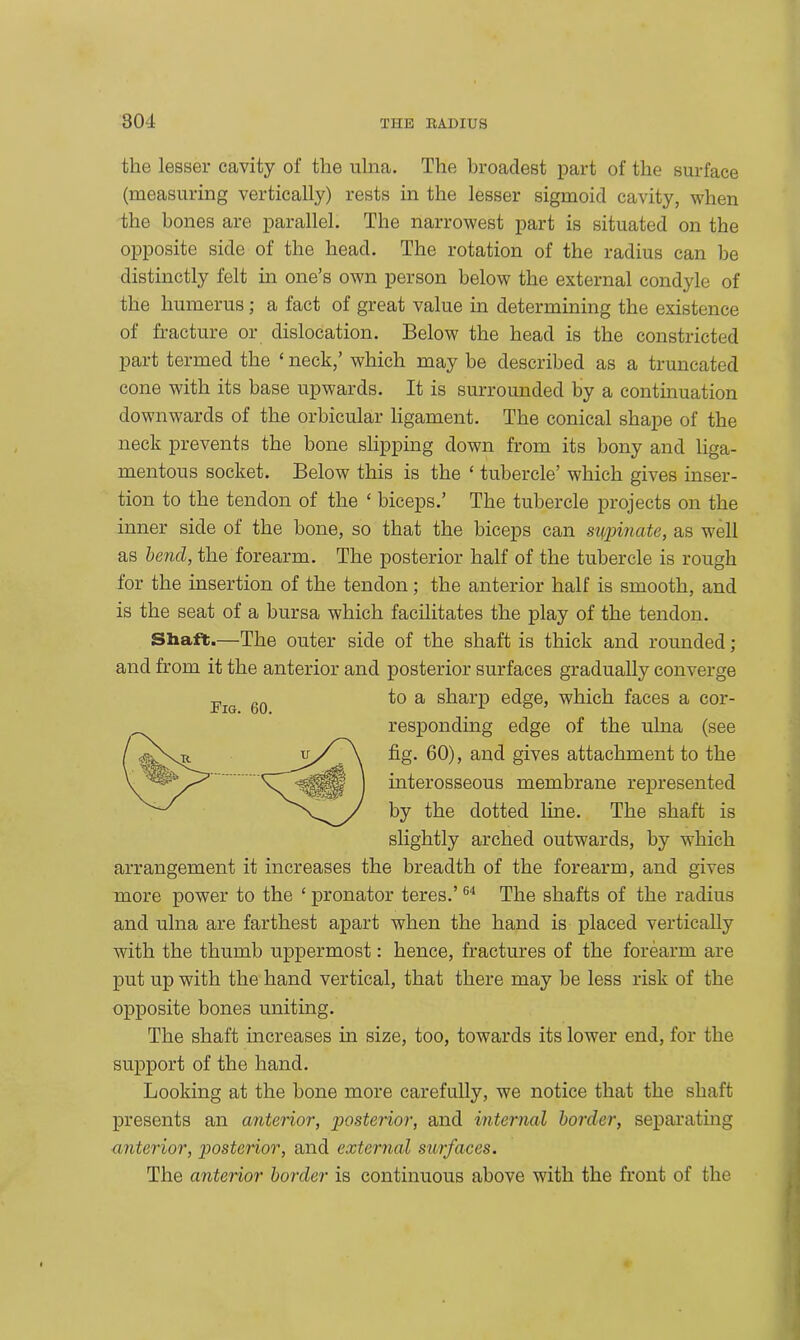 the lesser cavity of the ulna. The broadest part of the surface (measuring vertically) rests in the lesser sigmoid cavity, when the bones are parallel. The narrowest part is situated on the opposite side of the head. The rotation of the radius can be distinctly felt in one’s own person below the external condyle of the humerus; a fact of great value in determining the existence of fracture or dislocation. Below the head is the constricted part termed the ‘ neck,’ which may be described as a truncated cone with its base upwards. It is surrounded by a continuation downwards of the orbicular ligament. The conical shape of the neck prevents the bone slipping down from its bony and liga- mentous socket. Below this is the ‘ tubercle’ which gives inser- tion to the tendon of the ‘ biceps.’ The tubercle projects on the inner side of the bone, so that the biceps can stipulate, as well as bencl, the forearm. The posterior half of the tubercle is rough lor the insertion of the tendon; the anterior half is smooth, and is the seat of a bursa which facilitates the play of the tendon. Shaft.—The outer side of the shaft is thick and rounded ; and from it the anterior and posterior surfaces gradually converge to a sharp edge, which faces a cor- responding edge of the ulna (see fig. 60), and gives attachment to the interosseous membrane represented by the dotted line. The shaft is slightly arched outwards, by which arrangement it increases the breadth of the forearm, and gives more power to the ‘ pronator teres.’64 The shafts of the radius and ulna are farthest apart when the hand is placed vertically with the thumb uppermost: hence, fractures of the forearm are put up with the hand vertical, that there may be less risk of the opposite bones uniting. The shaft increases in size, too, towards its lower end, for the support of the hand. Looking at the hone more carefully, we notice that the shaft presents an anterior, posterior, and internal border, separating anterior, posterior, and external surfaces. The anterior border is continuous above with the front of the Fig. 60.