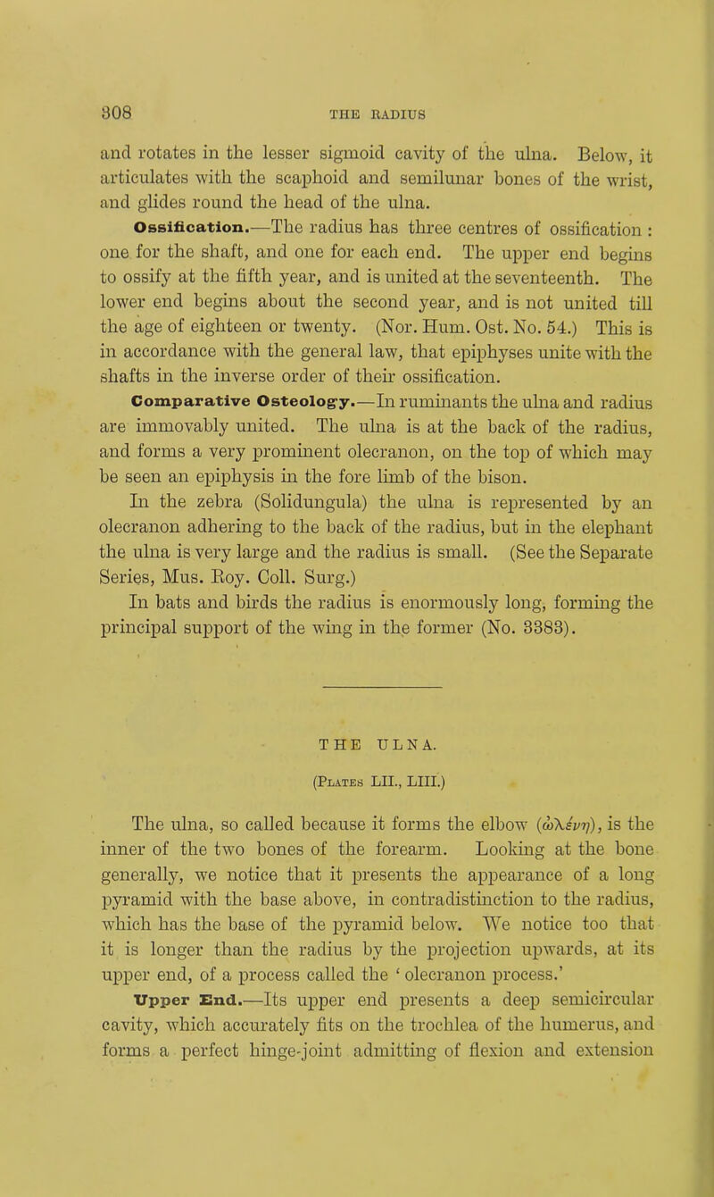 and rotates in the lesser sigmoid cavity of the ulna. Below, it articulates with the scaphoid and semilunar bones of the wrist, and glides round the head of the ulna. Ossification.—The radius has three centres of ossification : one for the shaft, and one for each end. The upper end begins to ossify at the fifth year, and is united at the seventeenth. The lower end begins about the second year, and is not united till the age of eighteen or twenty. (Nor. Hum. Ost. No. 54.) This is in accordance with the general law, that epiphyses unite with the shafts in the inverse order of their ossification. Comparative Osteolog-y—In ruminants the ulna and radius are immovably united. The ulna is at the back of the radius, and forms a very prominent olecranon, on the top of which may be seen an epiphysis in the fore limb of the bison. In the zebra (Solidungula) the ulna is represented by an olecranon adhering to the back of the radius, but in the elephant the ulna is very large and the radius is small. (See the Separate Series, Mus. Roy. Coll. Surg.) In bats and birds the radius is enormously long, forming the principal support of the wing in the former (No. 3383). THE ULNA. (Plates LH., LIII.) The ulna, so called because it forms the elbow (<u\svr]), is the inner of the two bones of the forearm. Looking at the bone generally, we notice that it presents the appearance of a long pyramid with the base above, in contradistinction to the radius, which has the base of the pyramid below. We notice too that it is longer than the radius by the projection upwards, at its upper end, of a process called the ‘ olecranon process.’ Upper End.—Its upper end presents a deep semicircular cavity, which accurately fits on the trochlea of the humerus, and forms a perfect hinge-joint admitting of flexion and extension