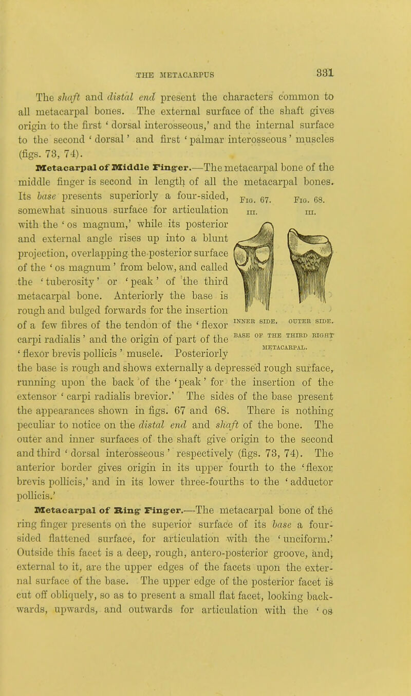 Pig. 67. m. Fig. 68. hi. INNER SIDE. OUTER SIDE. BASE OP THE THIRD RIGHT METACARPAL. The shaft and distal end present the characters common to all metacarpal bones. The external surface of the shaft gives origin to the first ‘ dorsal interosseous,’ and the internal surface to the second ‘ dorsal ’ and first ‘ palmar interosseous ’ muscles (figs. 73, 74). Metacarpal of Middle Fing-er.—The metacarpal bone of the middle finger is second in length of all the metacarpal bones. Its base presents superiorly a four-sided, somewhat sinuous surface for articulation with the ‘ os magnum,’ while its posterior and external angle rises up into a blunt projection, overlapping the posterior surface of the ‘ os magnum ’ from below, and called the ‘ tuberosity ’ or ‘ peak ’ of the third metacarpal bone. Anteriorly the base is rough and bulged forwards for the insertion of a few fibres of the tendon of the ‘ flexor carpi radialis ’ and the origin of part of the ‘ flexor brevis pollicis ’ muscle. Posteriorly the base is rough and shows externally a depressed rough surface, running upon the back of the ‘ peak ’ for the insertion of the extensor ‘ carpi radialis brevior.’ The sides of the base present the appearances shown in figs. 67 and 68. There is nothing peculiar to notice on the distal end and shaft of the bone. The outer and inner surfaces of the shaft give origin to the second and third ‘dorsal interosseous’ respectively (figs. 73, 74). The anterior border gives origin in its upper fourth to the ‘flexor brevis pollicis,’ and in its lower three-fourths to the ‘ adductor pollicis.’ Metacarpal of Ring- Fing-er.—The metacarpal bone of the ring finger presents on the superior surface of its base a four- sided flattened surface, for articulation with the ‘ unciform.’ Outside this facet is a deep, rough, antero-posterior groove, and, external to it, are the upper edges of the facets upon the exter- nal surface of the base. The upper edge of the posterior facet is cut off obliquely, so as to present a small flat facet, looking back- wards, upwards, and outwards for articulation with the ‘ os