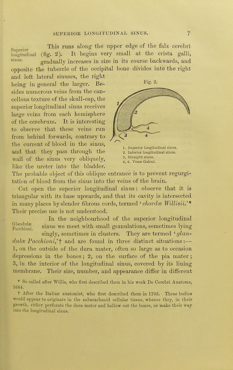 SUPERIOR LONGITUDINAL SINUS. 1 1. Superior longitudinal sinus. 2. Inferior longitudinal sinus. 3. Straight sinus. 4. 4. Venae Galeni. Su erior '^^^^ ^^^ along the upper edge of the falx cerebri longitudinal (fig. 2). It begins very small at the crista galli, sinus. gradually increases in size in its course backwards, and opposite the tubercle of the occipital bone divides into the right and left lateral sinuses, the right being in general the larger. Be- sides numerous veins from the can- cellous texture of the skull-cap, the superior longitudinal sinus receives large veins from each hemisphere of the cerebrum. It is interesting to observe that these veins run from bebind forwards, contrary to the current of blood in the sinus, and that they pass through the wall of the sinus very obliquely, like the ureter into the bladder. The probable object of this oblique entrance is to prevent regurgi- tation of blood from the sinus into the veins of the brain. Cut open the superior longitudinal sinus: observe that it is triangular with its base upwards, and that its cavity is intersected in many places by slender fibrous cords, termed 'chordae Willisii.^* Their precise use is not understood. In the neighbourhood of the superior longitudinal sinus we meet with small granulations, sometimes lying singly, sometimes in clusters. They are termed ' glan- dulce Pacchioni,^1[ and are found in three distinct situations:— 1, on the outside of . the dura mater, often so large as to occasion depressions in the bones; 2, on the surface of the pia mater; 3, in the interior of the longitudinal sinus, covered by its lining- membrane. Their size, number, and appearance differ in different * So called after Willis, •who first described them in his work De Cerebri Anatome, 1664. t After the Italian anatomist, who first described them in 1705. These bodies ■would appear to originate in the subarachnoid cellular tissue, whence they, in their growth, either perforate the dura mater and hollow out the bones, or make tlieir way into the longitudinal sinus. Glandulse Pacchioni