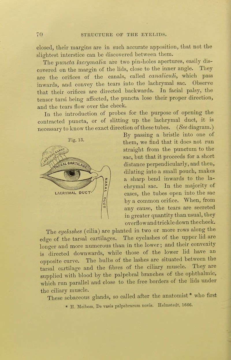 Tig. 13. closed, their margins are in such accurate apposition, that not the slightest interstice can be discovered between them. The punda lacrymalia are two pin-holes apertures, easily dis- covered on the margin of the lids, close to the inner angle. They are the orifices of the canals, called canalicuH, which pass inwards, and convey the tears into the lachrymal sac. Observe that their orifices are directed backwards. In facial palsy, the tensor tarsi being affected, the puncta lose their proper direction, and the tears flow over the cheek. In the introduction of probes for the purpose of opening the contracted puncta, or of slitting up the lachrymal duct, it is necessary to know the exact direction of these tubes. {See diagram.) By passing a bristle into one of them, we find that it does not run straight from the punctum to the sac, but that it proceeds for a short distance perpendicularly, and then, dilating into a small pouch, makes a sharp bend inwards to the la- chrymal sac. In the majority of cases, the tubes open into the sac by a common orifice. When, from any cause, the tears are secreted in greater quantity than usual, they overflow and trickle down thecheek. The eyelashes (cilia) are planted in two or more rows along the edge of the tarsal cartilages. The eyelashes of the upper lid are longer and more numerous than in the lower; and their convexity is directed downwards, while those of the lower lid have an opposite curve. The bulbs of the lashes are situated between the tarsal cartilage and the fibres of the ciliary muscle. They are supplied with blood by the palpebral branches of the ophthalmic, which run parallel and close to the free borders of the lids under the ciliary muscle. These sebaceous glands, so called after the anatomist* who first « H. Meibom, De vasis palpelDrariiin novis. Helmstedt, 1666.