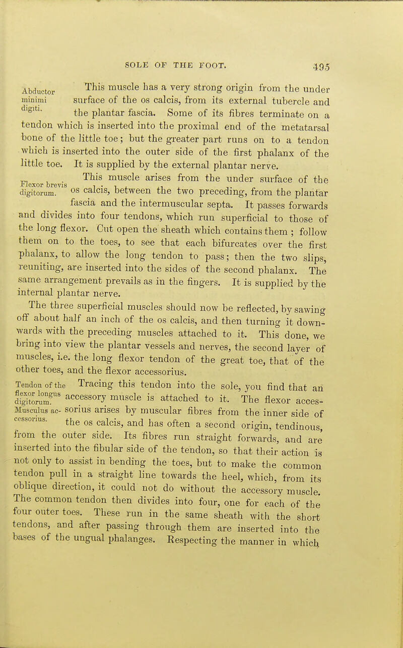 Abductor '^^^^ muscle has a very strong origin from the under minimi surfacB of the OS calcis, from its external tubercle and the plantar fascia. Some of its fibres terminate on a teudon which is inserted into the proximal end of the metatarsal bone of the little toe; but the greater part runs on to a tendon which is inserted into the outer side of the first phalanx of the little toe. It is supplied by the external plantar nerve. Flexor brevis ^^^^ muscle arises from the under surface of the digitoriun. OS calcis, between the two preceding, from the plantar fascia and the intermuscular septa. It passes forwards and divides into four tendons, which run superficial to those of the long flexor. Cut open the sheath which contains them ; follow them on to the toes, to see that each bifurcates over the first phalanx, to allow the long tendon to pass; then the two slips, reuniting, are inserted into the sides of the second phalanx. The same arrangement prevails as in the fingers. It is supplied by the internal plantar nerve. The three superficial muscles should now be reflected, by sawing off about half an inch of the os calcis, and then turning it down- wards with the preceding muscles attached to it. This done, we bring into view the plantar vessels and nerves, the second layer of muscles, i.e. the long flexor tendon of the great toe, that of the other toes, and the flexor accessorius. Tendon of the Tracing this tendon into the sole, you find that an ItgZruT accessory muscle is attached to it. The flexor acces- Musculus ac- sorius arises by muscular fibres from the inner side of cessonus. j-j^g caXds, and has often a second origin, tendinous, from the outer side. Its fibres run straight forwards, and are' inserted into the fibular side of the tendon, so that their action is not only to assist in bending the toes, but to make the common tendon pull in a straight line towards the heel, which, from its oblique direction, it could not do without the accessory muscle. The common tendon then divides into four, one for each of the four outer toes. These run in the same sheath with the short tendons, and after passing through them are inserted into the bases of the ungual phalanges. Eespecting the manner in which