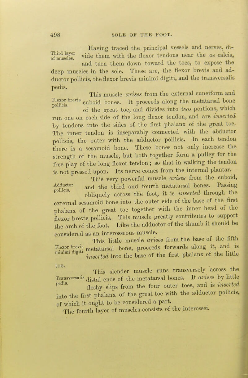Having traced the principal vessels and nerves, di- oSsdes.'^ vide them with the flexor tendons near the os calcis, and turn them down toward the toes, to expose the deep muscles in the sole. These are, the flexor brevis and ad- ductor pollicis, the flexor brevis minimi digiti, and the transversalis pedis. This muscle aHses from the external cuneiform and ■^imcis^'''''^'^ cuboid bones. It proceeds along the metatarsal bone ^° ^'^ of the great toe, and divides into two portions, which run one on each side of the long flexor tendon, and are inserted by tendons into the sides of the first phalanx of the great toe. The inner tendon is inseparably connected with the abductor pollicis, the outer with the adductor pollicis. In each tendon there is a sesamoid bone. These bones not only increase the strength of the muscle, but both together form a pulley for the free play of the long flexor tendon; so that in walking the tendon is not pressed upon. Its nerve comes from the internal plantar. This very powerful muscle arises from the cuboid, ^'^,^.''9''°'^ and the third and fourth metatarsal bones. Parsing ^° obliquely across the foot, it is inserted through the external sesamoid bone into the outer side of the base of the first phalanx of the great toe together with the inner head of the flexor brevis pollicis. This muscle greatly contributes to support the arch of the foot. Like the adductor of the thumb it should be considered as an interosseous muscle. This little muscle arises from the base of the fifth Flexor brevis j^^etatarsal bone, proceeds forwards along it, and is minimi digiti. .^^^ ^^g^ ti^e first phalanx of the little This slender muscle runs transversely across the TransversaUs ^^^g ^-^^ metatarsal bones. It anses by little fleshy slips from the four outer toes, and is inserted into the first phalanx of the great toe with the adductor pollicis, of which it ought to be considered a part. The fourth layer of muscles consists of the interossei.