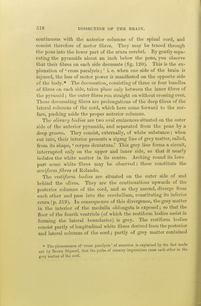 continuous with the anterior columns of the spinal cord, and consist therefore of motor fibres. They may be traced through the pons into the lower part of the crura cerebri. By gently sepa- rating the pyramids about an inch below the pons, you observe that their fibres on each side decussate (fig. 120). This is the ex- planation of ' cross paralysis;' i. e. when one side of the brain is injured, the loss of motor power is manifested on the opposite side of the body.* The decussation, consisting of three or four bundles of fibres on each side, takes place only between the inner fibres of the pyramid; the outer fibres run straight on without crossing over. These decussating fibres are prolongations of the deep fibres of the lateral columns of the cord, which here come forward to the sur- face, pushing aside the proper anterior columns. The olivary bodies are two oval eminences situated on the outer side of the anterior pyramids, and separated from the pons by a deep groove. They consist, externally, of white substance; when cut into, their interior presents a zigzag line of grey matter, called, from its shape, ' corpus dentatum.' This grey line forms a circuit, interrupted only on the upper and inner side, so that it nearly isolates the white matter in its centre. Arching round its lowe part some white fibres may be ohserved: these constitute the arciforr)i fibres of Rolando. The restiform bodies are situated on the outer side of and behind the olives. They are the continuations upwards of the posterior columns of the cord, and as they ascend, diverge from each other and pass into the cerebelhim, constituting its inferior crura (p. 519). In consequence of this divergence, the grey matter in the interior of the medulla oblongata is exposed; so that the floor of the fourth ventricle (of which the restiform bodies assist in forming the lateral boundaries) is grey. The restiform bodies consist partly of longitudinal white fibres derived from the posterior and lateral columns of the cord ; partly of grey matter contained * The phenomenon of ' cross paralysis' of sensation is explained by the fact made out by Brown Sequard, that the paths of sensory impressions cross each other in the grey matter of the cord.