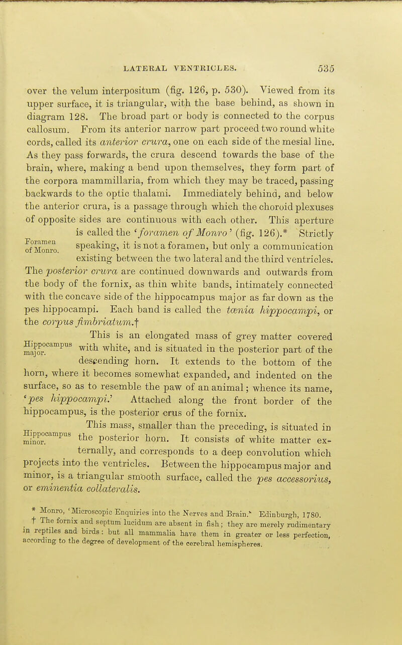 over the velum interpositum (fig. 126, p. 530). Viewed from its upper surface, it is triangular, with the base behind, as shown in diagram 128. The broad part or body is connected to the corpus callosiim. From its anterior narrow part proceed two round white cords, called its anterior crura, one on each side of the mesial line. As they pass forwards, the crura descend towards the base of the brain, where, making a bend upon themselves, they form part of the corpora mammillaria, from which they may be traced, passing backwards to the optic thalami. Immediately behind, and below the anterior crura, is a passage through which the choroid plexuses of opposite sides are continuous with each other. This aperture is called the 'foramen of Monro ^ (fig. 126).* Strictly of Mraro speaking, it is not a foramen, but only a communication existing between the two lateral and the third ventricles. The 'postenor crura are continued downwards and outwards from the body of the fornix, as thin white bands, intimately connected with the concave side of the hippocampus major as far down as the pes hippocampi. Each band is called the tcenia hippocavipi, or the corpus fimhriatum.^ This is an elongated mass of grey matter covered appocampus ^-^j^ ^^UIq^ and is situated in the posterior part of the descending horn. It extends to the bottom of the horn, where it becomes somewhat expanded, and indented on the surface, so as to resemble the paw of an animal; whence its name, 'pes hippocampi: Attached along the front border of the hippocampus, is the posterior crus of the fornix. This mass, smaller than the preceding, is situated in ^ippocampus ^.j^g posterior horn. It consists of white matter ex- ternally, and corresponds to a deep convolution which projects into the ventricles. Between the hippocampus major and minor, is a triangular smooth surface, called the pes accessorius, or eminentia collateralis. * Monro, 'Microscopic Enquiries into the Nerves and Brain.' Edinburgh, 1780. t The fornix and septum lucidum are absent in fish; they are merely rudimentary in reptiles and birds: but all mammalia have them in greater or less perfection, according to the degree of development of the cerebral hemispheres.