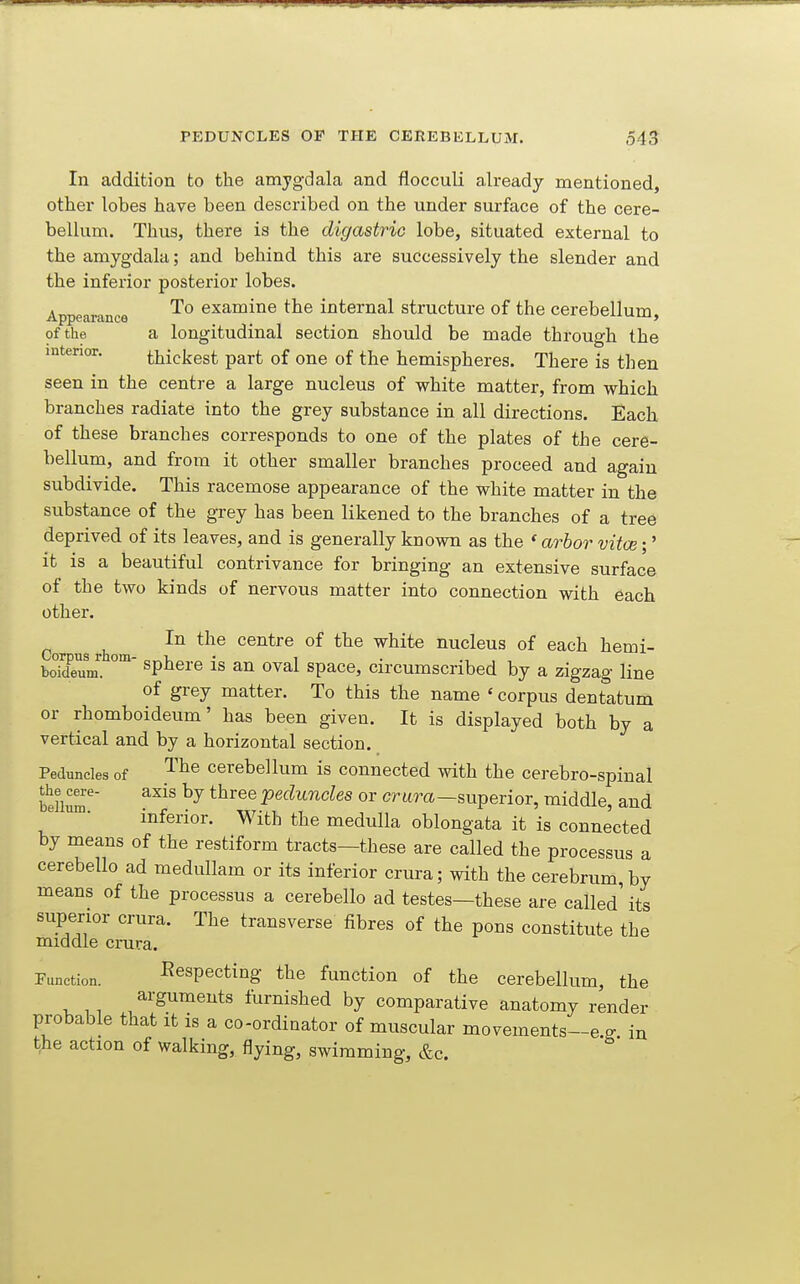 In addition to the amygdala and flocculi already mentioned, other lobes have been described on the under surface of the cere- bellum. Thus, there is the digastric lobe, situated external to the amygdala; and behind this are successively the slender and the inferior posterior lobes. Ar,^»-„.o . To examine the internal structure of the cerebellum, of the a longitudinal section should be made through the mtenor. thickest part of one of the hemispheres. There is then seen in the centre a large nucleus of white matter, from which branches radiate into the grey substance in all directions. Each of these branches corresponds to one of the plates of the cere- bellum, and from it other smaller branches proceed and again subdivide. This racemose appearance of the white matter in the substance of the grey has been likened to the branches of a tree deprived of its leaves, and is generally known as the ' arbor vitce;' it is a beautiful contrivance for bringing an extensive surface of the two kinds of nervous matter into connection with each other. Co usrhom ^^^^ Centre of the white nucleus of each hemi- boMeum''. spbere is an oval space, circumscribed by a zigzag line of grey matter. To this the name ' corpus dentatum or rhomboideum' has been given. It is displayed both by a vertical and by a horizontal section. Peduncles of The cerebellum is connected with the cerebro-spiual beHum'' ^^^^ ^^^^^ peduncles or crura—superior, middle, and inferior. With the medulla oblongata it is connected by means of the restiform tracts—these are called the processus a cerebello ad medullam or its inferior crura; with the cerebrum, by means of the processus a cerebello ad testes—these are called' its superior crura. The transverse fibres of the pons constitute the middle crura. Function. I?especting the function of the cerebellum, the arguments furnished by comparative anatomy render probable that it is a co-ordinator of muscular movements-e g in the action of walking, flying, swimming, &c.