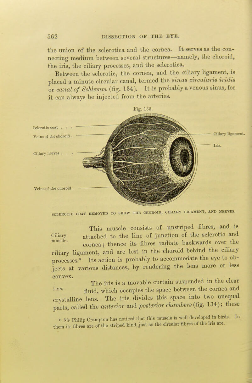 the union of the sclerotica and the cornea. It serves as the con- necting medium between several structures—namely, the choroid, the iris, the ciliary processes, and the sclerotica. Between the sclerotic, the cornea, and the ciliary ligament, is placed a minute circular canal, termed the sinus circulaHs iridis or canal of Schlemm (fig. 134). It is probably a venous sinus, for it can always be injected from the arteries. Fig. 135. Sclerotic coat . . . Veins of tlieclioroid . Ciliiu-y nerves . . . Veins o£ the choroid . SCLKROTIC COAT EEMOVED TO SHOW THE CHOEOID, CILIARY LIGAMENT, AND NERVES. Ciliary muscle, This muscle consists of unstriped fibres, and is attached to the line of junction of the sclerotic and cornea; thence its fibres radiate backwards over the ciUary ligament, and are lost in the choroid behind the ciliary processes?* Its action is probably to accommodate the eye to ob- jects at various distances, by rendering the lens more or less convex. The iris is a movable curtain suspended m the clear fluid, which occupies the space between the cornea and crystalline lens. The iris divides this space into two unequal parts, called the anterior and posterior chambers {^g. 134); these » Sir Philip Crampton has noticed that this muscle is well developed in birds. In them its fibres are of the striped kind, just as the circxUar fibres of the ins are.