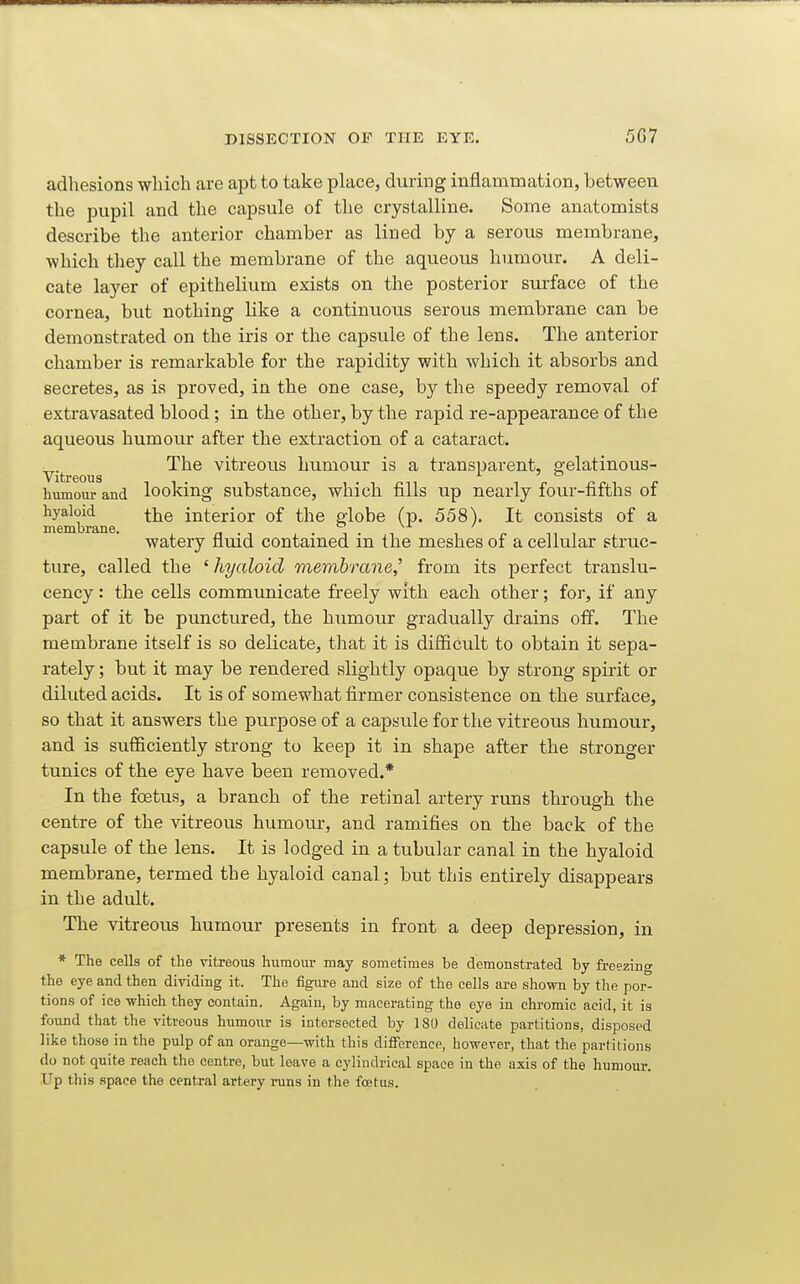 adhesions wliich are apt to take place, during inflammation, between the pupil and the capsule of the crystalline. Some anatomists describe the anterior chamber as lined by a serous membrane, ■which they call the membrane of the aqueous humour. A deli- cate layer of epithelium exists on the posterior surface of the cornea, but nothing like a continuous serous membrane can be demonstrated on the iris or the capsule of the lens. The anterior chamber is remarkable for the rapidity with which it absorbs and secretes, as is proved, in the one case, by the speedy removal of extravasated blood; in the other, by the rapid re-appearance of the aqueous humour after the extraction of a cataract. The vitreous humour is a transparent, ffelatinous- Vitreous humour and looking substance, which fills up nearly four-fifths of hyaloid ^\^q interior of the globe (p. 558). It consists of a membrane. n • i • i • n i r watery nmd contamed m the meshes of a cellular struc- ture, called the 'hyaloid membrane,'' from its perfect translu- cency: the cells communicate freely with each other; for, if any part of it be punctured, the humour gradually drains off. The membrane itself is so delicate, that it is difficult to obtain it sepa- rately ; but it may be rendered slightly opaque by strong spirit or diluted acids. It is of somewhat firmer consistence on the surface, so that it answers the purpose of a capsule for the vitreous humour, and is sufficiently strong to keep it in shape after the stronger tunics of the eye have been removed.* In the foetus, a branch of the retinal artery runs through the centre of the vitreous humour, and ramifies on the back of the capsule of the lens. It is lodged in a tubular canal in the hyaloid membrane, termed the hyaloid canal; but this entirely disappears in the adult. The vitreous humour presents in front a deep depression, in * The cells of the vitreous humour may sometimes be demonstrated by freezing the eye and then diyiding it. The figure and size of the cells are shown by the por- tions of ice which they contain. Again, by macerating the eye in chromic acid, it is found that the vitreous humour is intersected by 180 delicate partitions, disposed like those in the pulp of an orange—with this difference, however, that the partitions do not quite reach the centre, but leave a cylindrical space in the axis of the humoui-. Up this space the central artery runs in the foetus.
