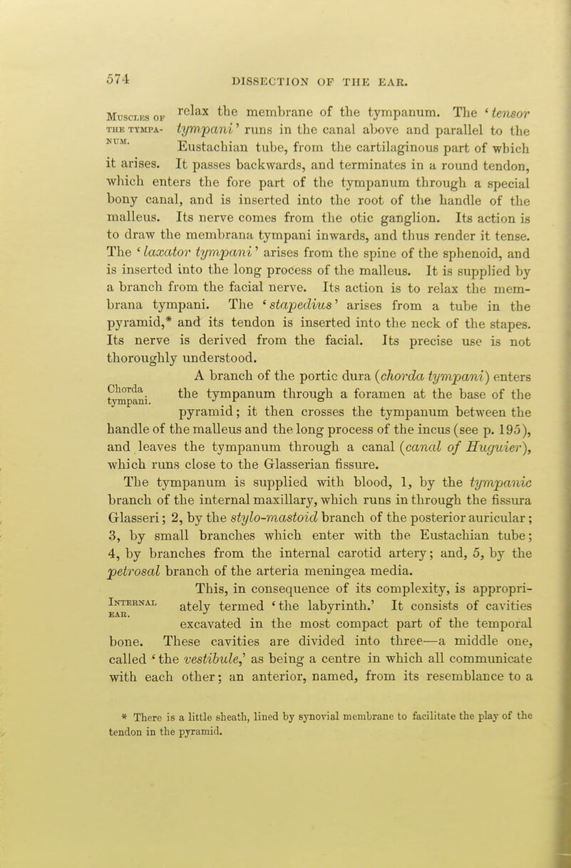 Muscles of ^^^^^ the membrane of tlie tympanum. The ' tensor THE TTMPA- tym.pani' runs in the canal above and parallel to the Eustachian tube, from the cartilaginous part of which it arises. It passes backwards, and terminates in a round tendon, which enters the fore part of the tympanum through a special bony canal, and is inserted into the root of the handle of the malleus. Its nerve comes from the otic ganglion. Its action is to draw the membrana tympani inwards, and thus render it tense. The ' laxator tympani' arises from the spine of the sphenoid, and is inserted into the long process of the malleus. It is supplied by a branch from the facial nerve. Its action is to relax the mem- brana tympani. The 'stapedius' arises from a tube in the pyramid,* and its tendon is inserted into the neck of the stapes. Its nerve is derived from the facial. Its precise use is not thoroughly understood. A branch of the portic dura (chorda tympani) enters ^pani tympanum through a foramen at the base of the pyramid; it then crosses the tympanum between the handle of the malleus and the long process of the incus (see p. 195), and leaves the tympanum through a canal {canal of Huguier), which runs close to the Glasserian fissure. The tympanum is supplied with blood, 1, by the tympanic branch of the internal maxillary, which runs in through the fissura Grlasseri; 2, by the stylo-mastoid branch of the posterior auricular ; 3, by small branches which enter with the Eustachian tube; 4, by branches from the internal carotid artery; and, 5, by the petrosal branch of the arteria meningea media. This, in consequence of its complexity, is appropri- Intebnal ately termed *the labyrinth.' It consists of cavities EAR. excavated in the most compact part of the temporal bone. These cavities are divided into three—a middle one, called ' the vestibule,' as being a centre in which all communicate with each other; an anterior, named, from its resemblance to a * There is a little sheath, lined by sj'novial meniLrane to facilitate the play of the tendon in the pyramid.