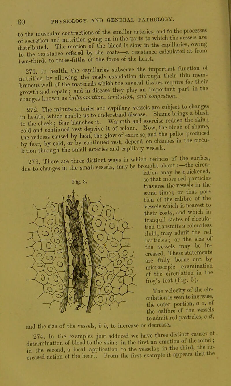 to the muscular contractions of the smaller arteries, and to the processes of secretion and nutrition going on in the parts to which the vessels are distributed. The motion of the blood is slow in the capillaries, owing to the resistance offered by the coats—a resistance calculated at from two-thirds to three-fifths of the force of the heart. 271. In health, the capillaries subserve the important function of nutrition by allowing the ready exsudation through their thin mem- branous wall of the materials which the several tissues require for their growth and repair ; and in disease they play an important part in the changes known as inflammation, irritation, and congestion. 272. The minute arteries and capillary vessels are subject to changes in health, which enable us to understand disease. Shame brings a blash to the cheek; fear blanches it. Warmth and exercise redden the skill; cold and continued rest deprive it of colour. Now, the blush of shame, the redness caused by heat, the glow of exercise, and the pallor produced by fear, by cold, or by continued rest, depend on changes in the circu- lation through the small arteries and capillary vessels. 273. There are three distinct ways in which redness of the surface, due to changes in the small vessels, maybe brought aboutthe circu- ° lation may be quickened, Fi 3 so that more red particles b' ' traverse the vessels in the same time; or that por-1 tion of the calibre of the vessels which is nearest to their coats, and which in tranquil states of circula- tion transmits a colourless fluid, may admit the red particles; or the size of the vessels may be in- creased. These statements are fully borne out by microscopic examination of the circulation in the frog’s foot (Fig. 3). The velocity of the cir- culation is seen to increase, the outer portion, a a, of the calibre of the vessels to admit red particles, c d, and the size of the vessels, 6 b, to increase or decrease. 274. In the examples just adduced we have three distinct cause-, of determination of blood to the skin: in the first an emotion of the mini , in the second, a local application to the vessels; in the third, the in- creased action of the heart. From the first example it appears that the