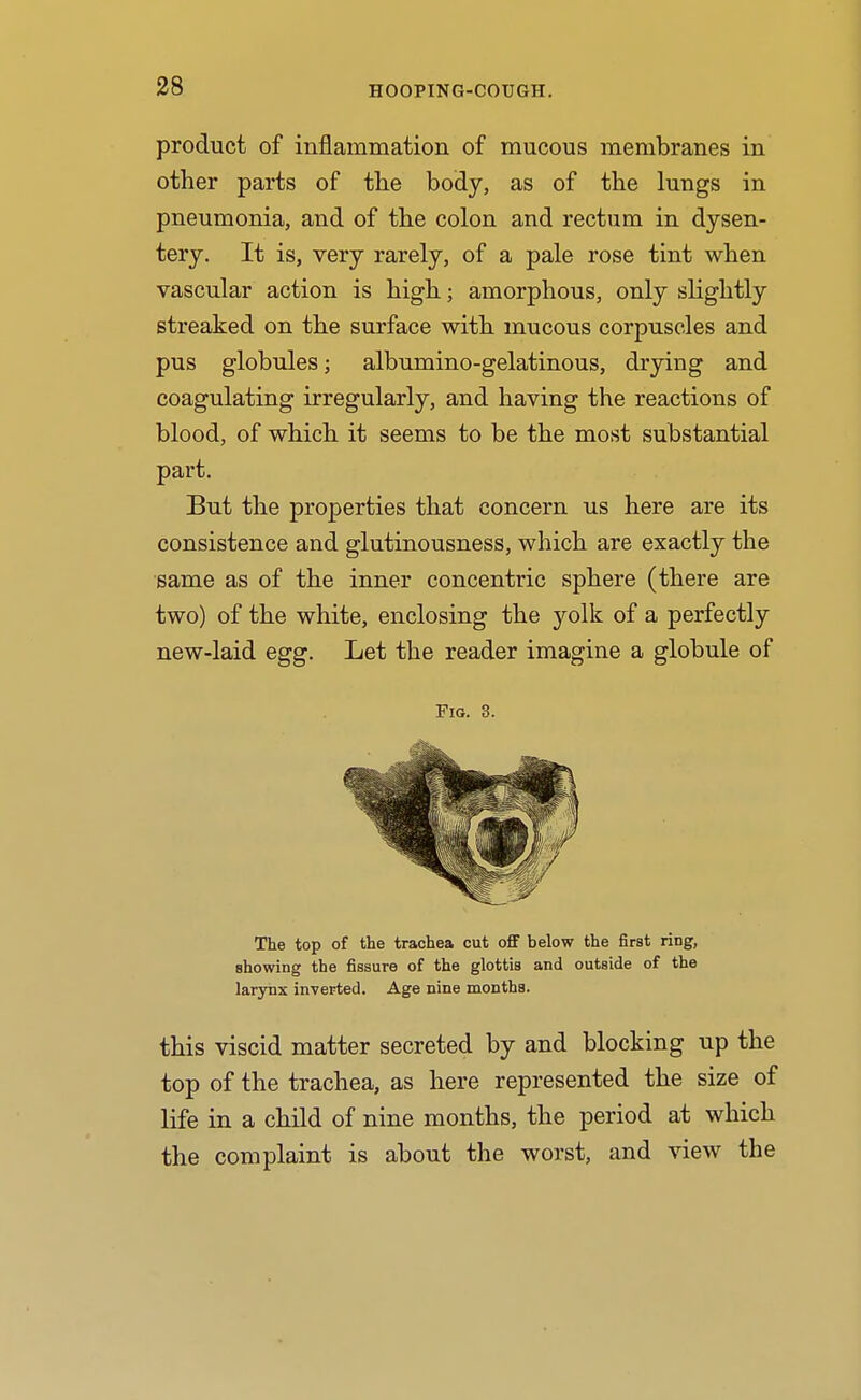 product of inflammation of mucous membranes in other parts of the body, as of the lungs in pneumonia, and of the colon and rectum in dysen- tery. It is, very rarely, of a pale rose tint when vascular action is high; amorphous, only slightly streaked on the surface with mucous corpuscles and pus globules; albumino-gelatinous, drying and coagulating irregularly, and having the reactions of blood, of which it seems to be the most substantial part. But the properties that concern us here are its consistence and glutinousness, which are exactly the same as of the inner concentric sphere (there are two) of the white, enclosing the yolk of a perfectly new-laid egg. Let the reader imagine a globule of Fig. 3. The top of the trachea cut off below the first ring, showing the fissure of the glottis and outside of the larynx inverted. Age nine months. this viscid matter secreted by and blocking up the top of the trachea, as here represented the size of life in a child of nine months, the period at which the complaint is about the worst, and view the