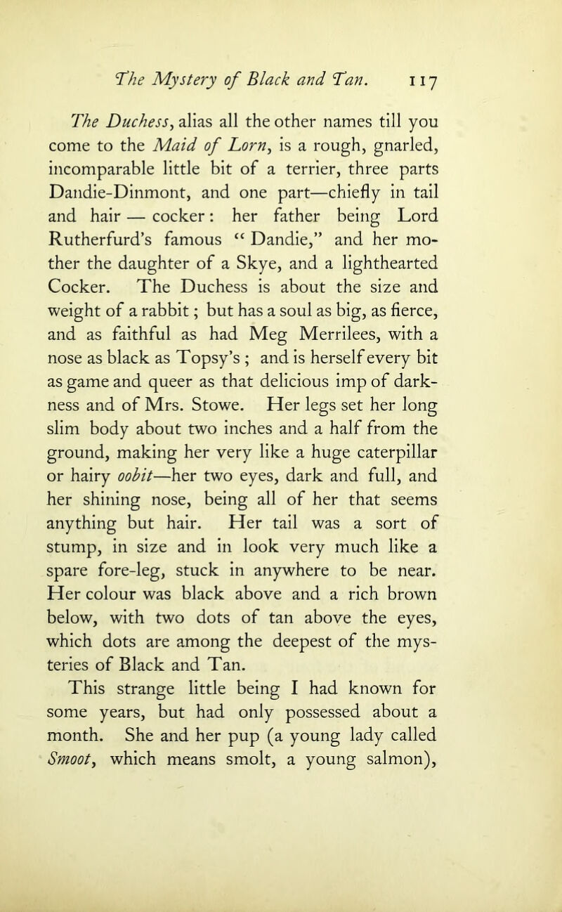 The Duchess, alias all the other names till you come to the Maid of Dorn, is a rough, gnarled, incomparable little bit of a terrier, three parts Dandie-Dinmont, and one part—chiefly in tail and hair — cocker: her father being Lord Rutherfurd’s famous “ Dandie,” and her mo- ther the daughter of a Skye, and a lighthearted Cocker. The Duchess is about the size and weight of a rabbit; but has a soul as big, as fierce, and as faithful as had Meg Merrilees, with a nose as black as Topsy’s ; and is herself every bit as game and queer as that delicious imp of dark- ness and of Mrs. Stowe. Her legs set her long slim body about two inches and a half from the ground, making her very like a huge caterpillar or hairy oobit—her two eyes, dark and full, and her shining nose, being all of her that seems anything but hair. Her tail was a sort of stump, in size and in look very much like a spare fore-leg, stuck in anywhere to be near. Her colour was black above and a rich brown below, with two dots of tan above the eyes, which dots are among the deepest of the mys- teries of Black and Tan. This strange little being I had known for some years, but had only possessed about a month. She and her pup (a young lady called Smoot, which means smolt, a young salmon),