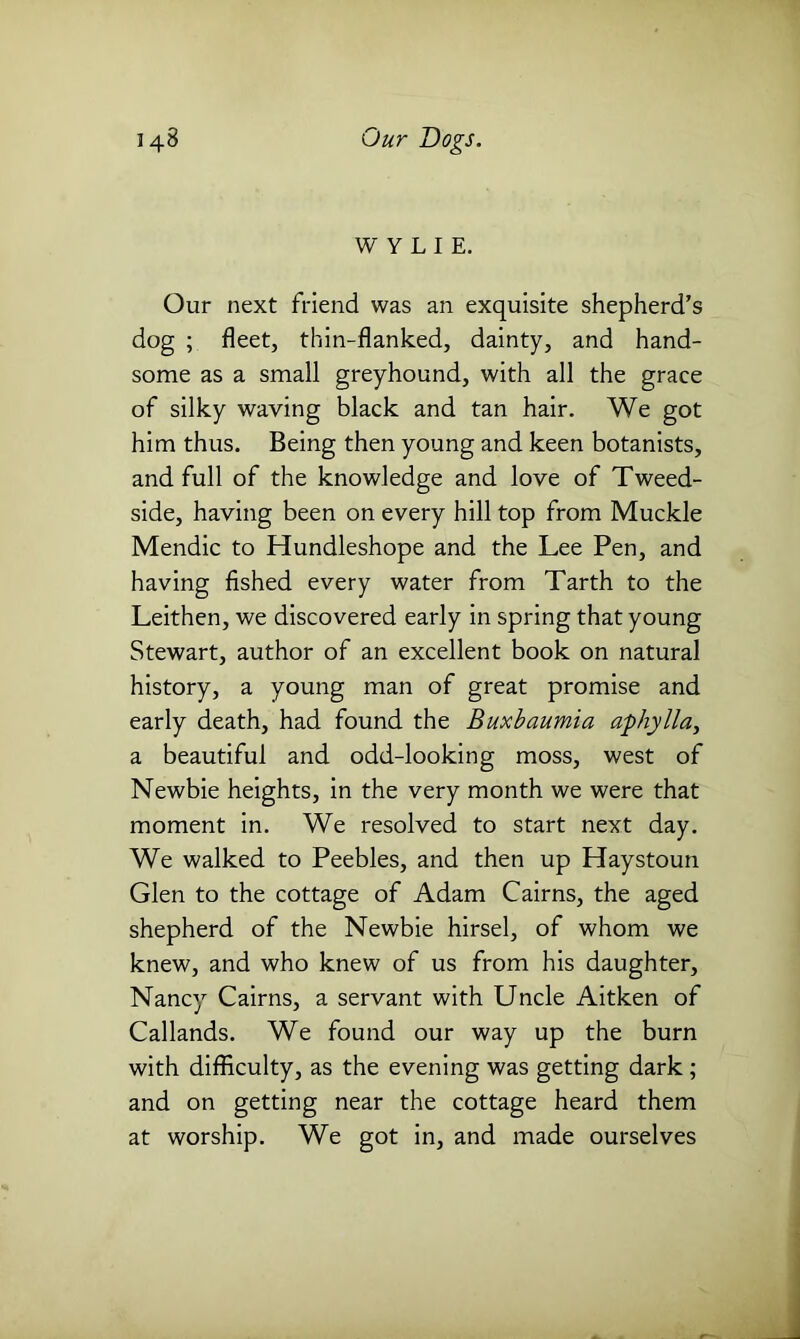 WYLIE. Our next friend was an exquisite shepherd’s dog ; fleet, thin-flanked, dainty, and hand- some as a small greyhound, with all the grace of silky waving black and tan hair. We got him thus. Being then young and keen botanists, and full of the knowledge and love of Tweed- side, having been on every hill top from Muckle Mendic to Hundleshope and the Lee Pen, and having fished every water from Tarth to the Leithen, we discovered early in spring that young Stewart, author of an excellent book on natural history, a young man of great promise and early death, had found the Buxbaumia aphylla, a beautiful and odd-looking moss, west of Newbie heights, in the very month we were that moment in. We resolved to start next day. We walked to Peebles, and then up Haystoun Glen to the cottage of Adam Cairns, the aged shepherd of the Newbie hirsel, of whom we knew, and who knew of us from his daughter, Nancy Cairns, a servant with Uncle Aitken of Callands. We found our way up the burn with difficulty, as the evening was getting dark; and on getting near the cottage heard them at worship. We got in, and made ourselves