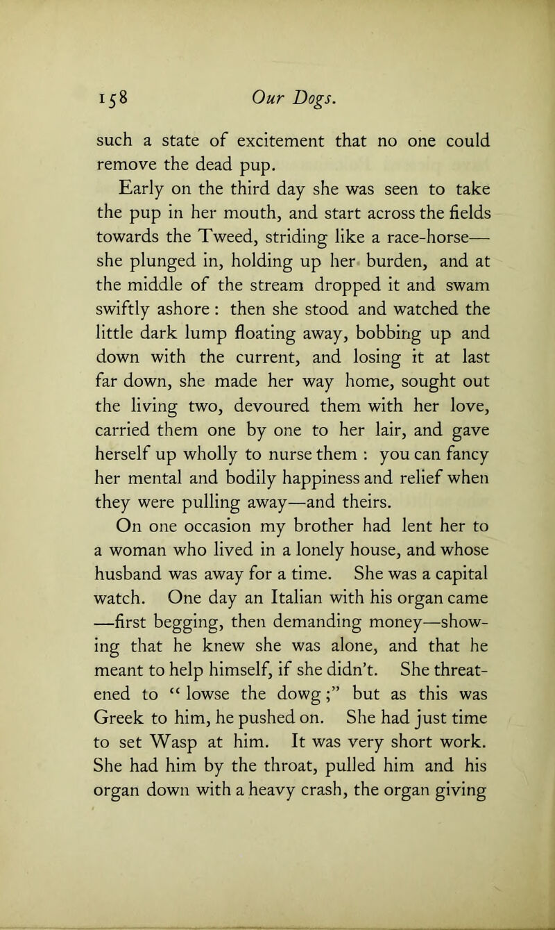 such a state of excitement that no one could remove the dead pup. Early on the third day she was seen to take the pup in her mouth, and start across the fields towards the Tweed, striding like a race-horse— she plunged in, holding up her burden, and at the middle of the stream dropped it and swam swiftly ashore : then she stood and watched the little dark lump floating away, bobbing up and down with the current, and losing it at last far down, she made her way home, sought out the living two, devoured them with her love, carried them one by one to her lair, and gave herself up wholly to nurse them : you can fancy her mental and bodily happiness and relief when they were pulling away—and theirs. On one occasion my brother had lent her to a woman who lived in a lonely house, and whose husband was away for a time. She was a capital watch. One day an Italian with his organ came —first begging, then demanding money—show- ing that he knew she was alone, and that he meant to help himself, if she didn’t. She threat- ened to “ lowse the dowgbut as this was Greek to him, he pushed on. She had just time to set Wasp at him. It was very short work. She had him by the throat, pulled him and his organ down with a heavy crash, the organ giving