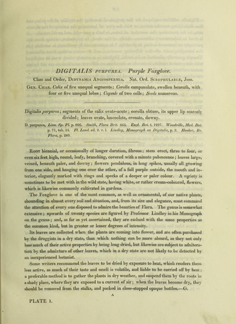 DIGITALIS purpurea. Purple Foxglove. Class and Order, Didynamia Angiospermia. Nat. Ord. Scrophulari^:, Juss. Gen. Char. Calix of five unequal segments; Corolla campanulate, swollen beneath, with four or five unequal lobes ; Capsule of two cells; Seeds numerous. Digitalis purpurea; segments of the calix ovate-acute; corolla obtuse, its upper lip scarcely divided; leaves ovate, lanceolate, crenate, downy. D. purpurea, Linn. Sp. PI. p. 866. Smith, Flora Brit. 665. Engl. Bot. t. 1297. Woodville, Med. But. p. 71, tab. 24. FI. Lond. ed. 2. v. i. Lindley, Monograph on Digitalis, p. 2. Hooker, Br. Flora, p. 289. Root biennial, or occasionally of longer duration, fibrous; stem erect, three to four, or even six feet high, round, leafy, branching, covered with a minute pubescence; leaves large, veined, beneath paler, and downy; flowers pendulous, in long spikes, usually all growing from one side, and hanging one over the other, of a full purple outside, the mouth and in- terior, elegantly marked with rings and specks of a deeper or paler colour. A variety is • sometimes to be met with in the wild state, having white, or rather cream-coloured, flowers, which is likewise commonly cultivated in gardens. The Foxglove is one of the most common, as well as ornamental, of our native plants, abounding in almost every soil and situation, and, from its size and elegance, must command the attention of every one disposed to admire the beauties of Flora. The genus is somewhat extensive ; upwards of twenty species are figured by Professor Lindley in his Monograph on the genus; and, as far as yet ascertained, they are endued with the same properties as the common kind, but in greater or lesser degrees of intensity. Its leaves are collected when the plants are coming into flower, and are often purchased bv the druggists in a dry state, than which nothing can be more absurd, as they not only lose much of their active properties by being long dried, but likewise are subject to adultera- tion by the admixture of other leaves, which in a dry state are not likely to be detected by an inexperienced botanist. Some writers recommend the leaves to be dried by exposure to heat, which renders them less active, as much of their taste and smell is volatile, and liable to be carried off1 by heat; a preferable method is to gather the plants in dry weather, and suspend them by the roots in a shady place, where they are exposed to a current of air; when the leaves become dry, they should be removed from the stalks, and packed in close-stopped opaque bottles.—G. A