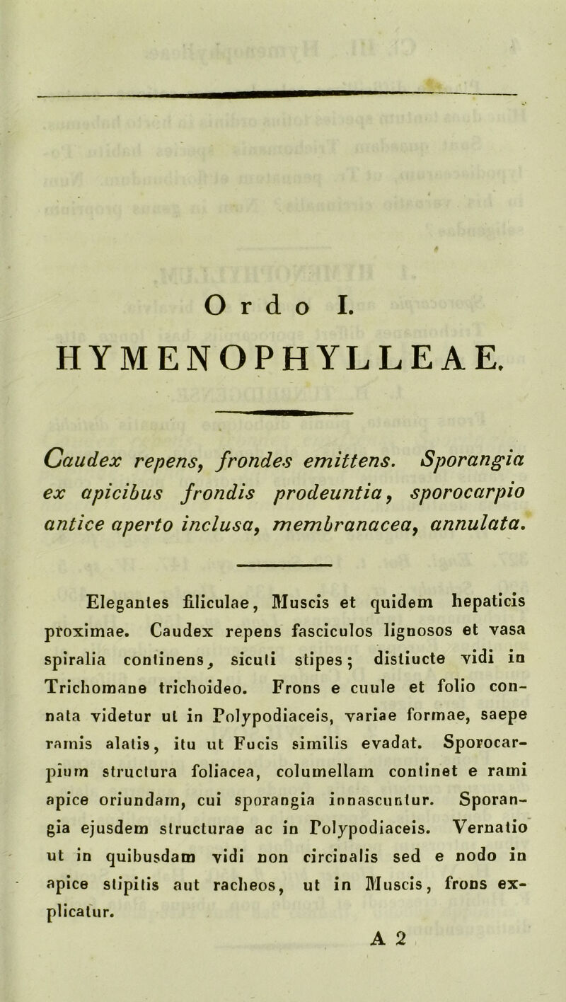 HYMENOPHYLLEAE, Caudex repens, frondes emittens. Sporangia ex apicihus frondis prodeuntia, sporocarpio antice aperto inclusa, memhranacea, annulata. Elegantes filiculae, Muscis et quidem hepaticis proximae. Caudex repens fascicules lignosos et vasa spiralia continens^ sicuti stipes; disliucte vidi in Trlchomane trichoideo. Frons e ciiule et folio con- nala videtur ul in Polypodiaceis, variae forrnae, saepe rainis alalls, ilu ut Fuels simllis evadat. Sporocar- 2^ium struclura foliacea, columellarn continet e rami apice oriundarn, cui sjoorangia innascunlur. Sporan- gia ejusdem slructurae ac in Polypodiaceis. Vernatio ut in quibusdam vidi non circioalis sed e nodo in apice stipitis aut racheos, ut in Muscis, frons ex- plicalur. A 2