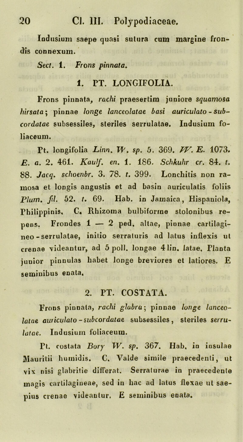 Indiislum saepe quasi sulura cum margine fron- dis connexum. Sect, 1, Frons pinnata^ 1. PT. LONGIFOLIA. Frons pinnata, rachi praesertim junlore squamosa hirsata^ pinnae longe lanceolatae basi auriculato - sub- cordatae subsessiles, sleriles serrulatae. Indusium fo- liaceum. Pt. longifolia Linn, W. sp. 5. 369. FV. E. 1073. E, a. 2. 461. Kaulf, en, 1. 186. Schkuhr cr, 84. t, 88. Jacq, schoenbr. 3. 78. t, 399. Lonchitis non ra- mosa et longis anguslis et ad basin auriculatis foliis Plum, fil. 52. t, 69. Hab. in Jamaica, Hispaniola, Philippinis, C, Rhizoma biilbiforine stolonibus re- pens. Frondes 1 — 2 ped, altae, pinnae carlilagi- iieo-serrulatae, initio serraluris ad latus inllexis ul crenae \ideantur, ad Spoil, longae 41in. latae, Planta junior pinnulas habet longe breviores el latiores. E seminibus enata, 2. PT. COSTATA. Frons piunala, rachi glabra‘s pinnae longe lanceo- latae auricuiato-siibcordatae subsessiles, steriles serru- latae. Indusium foliaceum. Pi. coslata Bory TV. sp, 367. Hab, in insulae Mauritii huinidis, C. Valde simile praecedenli, ut vix nisi glabritie difFerat. Serralurae in praecedenle magis carlilagineae, sed in hac ad lalus flexae ut sae- pius crenae \ideanlur. E seminibus enala.