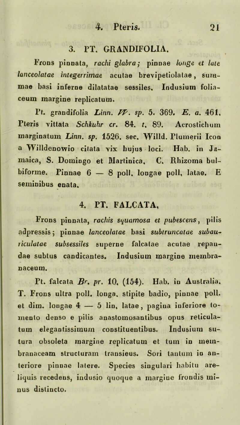 3. PT, GRANDIFOLIA, Prons pionata, radii glabra; pinnae huge et late lanceolatae integerrimae acutae brevipetiolalae, sum- mae basi inferoe dilalatae sessiles, Indusium folia- ceum margine replicatum. Pt. grandifolia Linn. PT'. sp. 5. 369. E. a. 461, Pteris villata Schkuhr cr. 84. 89. Acrostichum marginatum Linn. sp. 1526. sec. Willd. Plumerii Icon a Willdenowio cilata vix bujus -loci. Hab. in Ja- maica, S. Domingo et Marlinica, C, Rhizoma bul- biforme. Pinnae 6 — 8 poll, longae poll, latae. E seminibus enata. 4. PT. FALCATA, Frons pinnata, radiis squamosa et pubescens ^ pills adpressis; pinnae lanceolatae basi subtruncatae subau^ riculatae subsessiles siiperne falcatae aculae repau- dae subtus candicautes. Indusium margine membra- naceum. Pt. falcata Br, pr. 10, (154). Hab. in Australia. T. Frons ultra poll. longa, stipite badio, pinnae poll, et dim, longae 4 — 5 lin, latae, pagiua inferiore to- menlo denso e pilis anastomosantibus opus reticula- tum elegantissimum constituentibus. Indusium su- tura obsolete margine replicatum et turn in mem- brauaceam slrucluram transieus. Sori lanliim in an- teriore pinnae latere. Species singulari liabitu are- liquis recedens, indusio quoque a margiue I’rondis mi- nus dislincto.