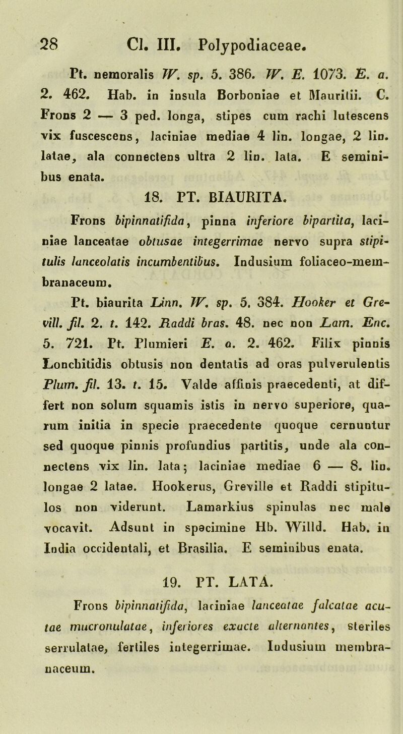 Pt. nemoralis TF, sp. 5. 386. TF, E. 1073. JE. a. 2. 462, Hab. in insula Borboniae et Mauritii. C. Frons 2 —- 3 ped. longa, stipes cum rachi lutescens vix fuscescens, iaciniae mediae 4 lin. longae, 2 lin. latae^ ala connectens ultra 2 lin. lata. E semini- bus enata. 18. PT. BIAURITA. Frons bipinnatifida, pinna iriferiore bipartitOj laci- niae lanceatae obtusae integerrimae nervo supra st/pi- tuUs lanceolatis incumbentibus, Indusium foliaceo-mem- branaceum. Pt. biaurita Unn, JF, sp, 6, 384. Hooker et Gre- vU\, JiL 2. t, 142. JFLaddi bras. 48. nec non Lam. Enc. 5. 721. Pt. Plumieri E. a. 2. 462. Filix pinnis liOncbitidis obtusis non deutatis ad oras pulverulentis Plum. JiL 13. t. 15. Valde affinis praecedenti, at dif- fert non solum squamis istis in nervo superiore, qua- rum initia in specie praecedente quoque cernuntur sed quoque pinnis profundius partitis^ unde ala con- nectens vix lin. lata; Iaciniae mediae 6 — 8. lin. longae 2 latae. Hookerus, Gre\ille et Raddi stipitu- los non 'viderunt. Lamarkius spinulas nec mala vocavit. Adsunt in spacimine Hb. Willd. Hab. in India occidentali, et Brasilia. E semiuibus enata. 19. PT. LATA. Frons bipinnatijida, Iaciniae lanceatae fakatae acu^ tae mucronulatae ^ inferiores exude ahernantes^ sleriles serrulalae, ferliles integerrimae. Indusium meinbra- uaceum.