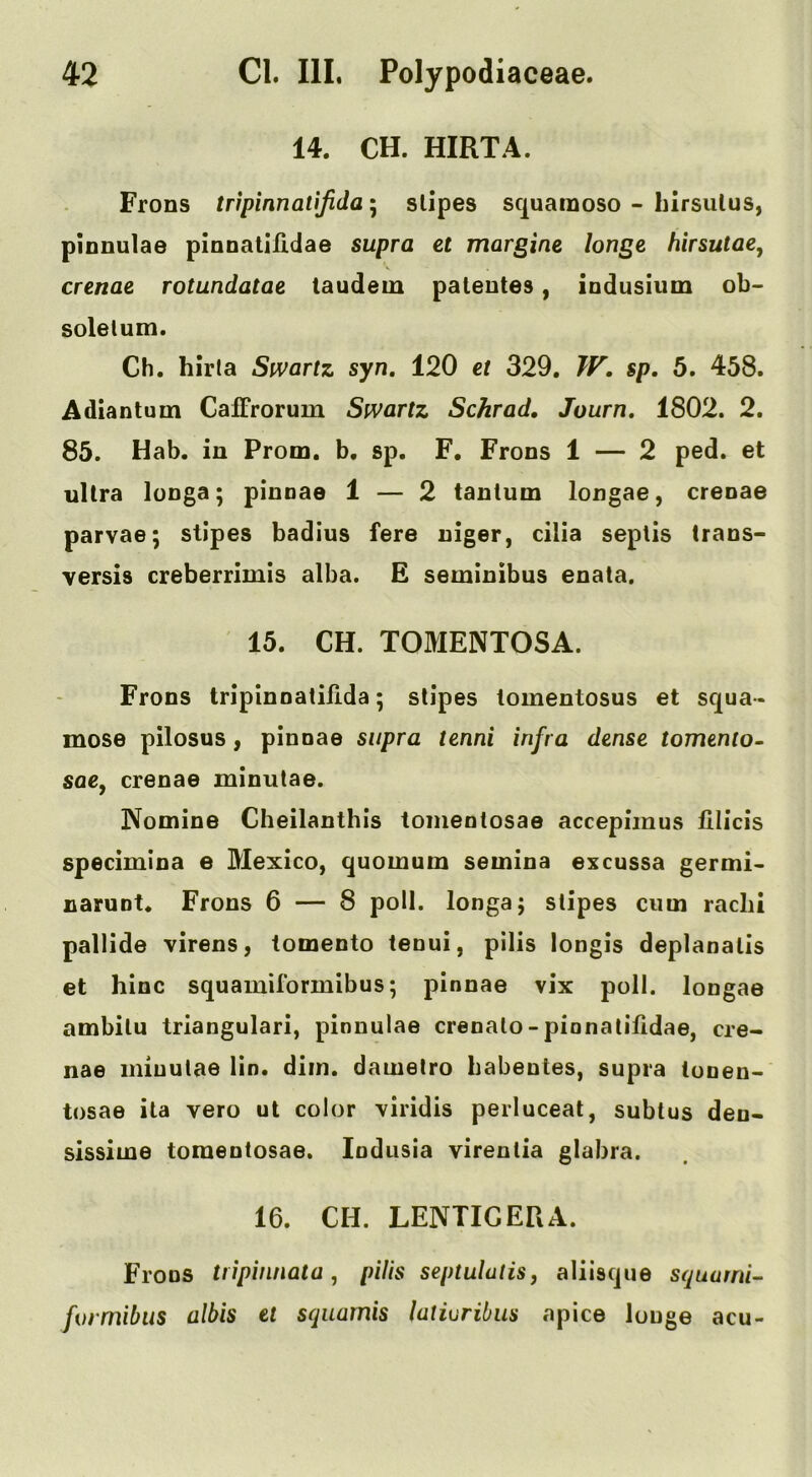 14. CH. HIRTA. Frons tripinnattjida; stipes scparaoso - hirsulus, pionulae pianalilidae supra et margine huge hirsutae^ crenae rotundatae taudein pateutes, indusium ob- solelum. Ch. hirla Swartz syn, 120 et 329. TF, sp. 5. 458. Adiantum Caffrorum Swartz Schrad, Journ, 1802. 2. 85. Hab. in Prom, b, sp. F. Frons 1 — 2 ped. et ultra longa; pinnae 1 — 2 tantum longae, crenae parvae; stipes badius fere uiger, cilia seplis trans- versis creberrimis alba. E seminibus enata. 15. CH. TOMENTOSA. Frons tripinnatilida; stipes tomentosus et squa- mose pilosus, pinnae supra tenni infra dense tomento- saCf crenae minutae. Nomine Cheilanthls toinentosae acceplinus lilicis specimlna e Mexico, quomum semina excussa germi> narunt* Frons 6 — 8 poll, longa; stipes cum radii pallide virens, tomento tenui, pilis longis deplanatis et hinc squamiformibus; pinnae vix poll, longae ambitu triangular!, pinnulae crenato-pinnatilidae, cre- nae minutae lin. dim. dametro babentes, supra tunen- tosae ita vero ut color \iridis perluceal, subtus den- sissime tomentosae. Indusia virentia glabra. 16. CH. LENTIGERA. Frons tripi/inata, pilis septuluiis, aliisque squumi- fvrmibus albis et squamis latiuribiis apice louge acu-
