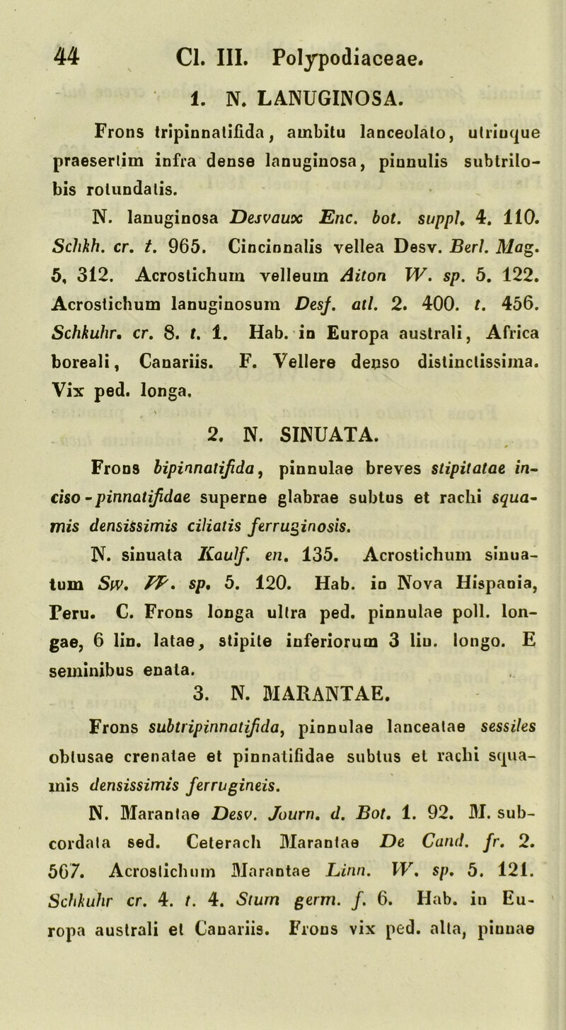 1. N. LANUGINOSA. Frons tripionatiilda ^ ambitu lanceolalo, utriuque praeserlim infra dense lanuginosa, piuuulis sublrilo- bis rolundalis. N. lanuginosa Desvaux Enc. bot. supph 4, 110. Schkh. cr, t. 965. Cincinnalis vellea Desv. BerL Ma^. 5, 312. Acroslichum velleum Alton W. sp. 5. 122. Acrostichum lanuginosum DesJ, all. 2. 400. t. 456. Schkuhr. cr, 8. t, 1. Hab. in Europa australi, Africa boreali, Canariis. F. Vellere deoso distinclissima. Vix ped. longa. 2. N. SINUATA. Frons hipinnatijida ^ pinnulae breves stipitatae in- ciso ~pinnatijidae superne glabrae subtus et radii squa^ mis densiSsimis ciliatis ferru^inosis. N. sinuata Kaulf. en, 135. Acrostichum slnua- turn SfV, sp, 5. 120. Hab. in Nova Hispaoia, Peru. C. Frons longa ultra ped. pinnulae poll, lon- gae, 6 lin. latae, stipile inferiorum 3 liu. longo. £ seminibus enata. 3. N. MARANTAE. Frons suhtripinnatijida^ pinnulae lanceatae sessiles oblusae crenatae et pinnalifidae subtus et radii sipia- inis densissimis ferrugineis. N. Maranlae Desv. Journ, d. Bot, 1. 92. M. sub- cordala sed. Celerach Maraniae De Cand. fr, 2. 567. Acroslichum Marantae Linn. IV, sp, 5. 121. Schkuhr cr. 4. t. 4. Stum germ. f. 6. Hab. in Eu- ropa australi el Canariis. Frons vix ped. alia, pinnae