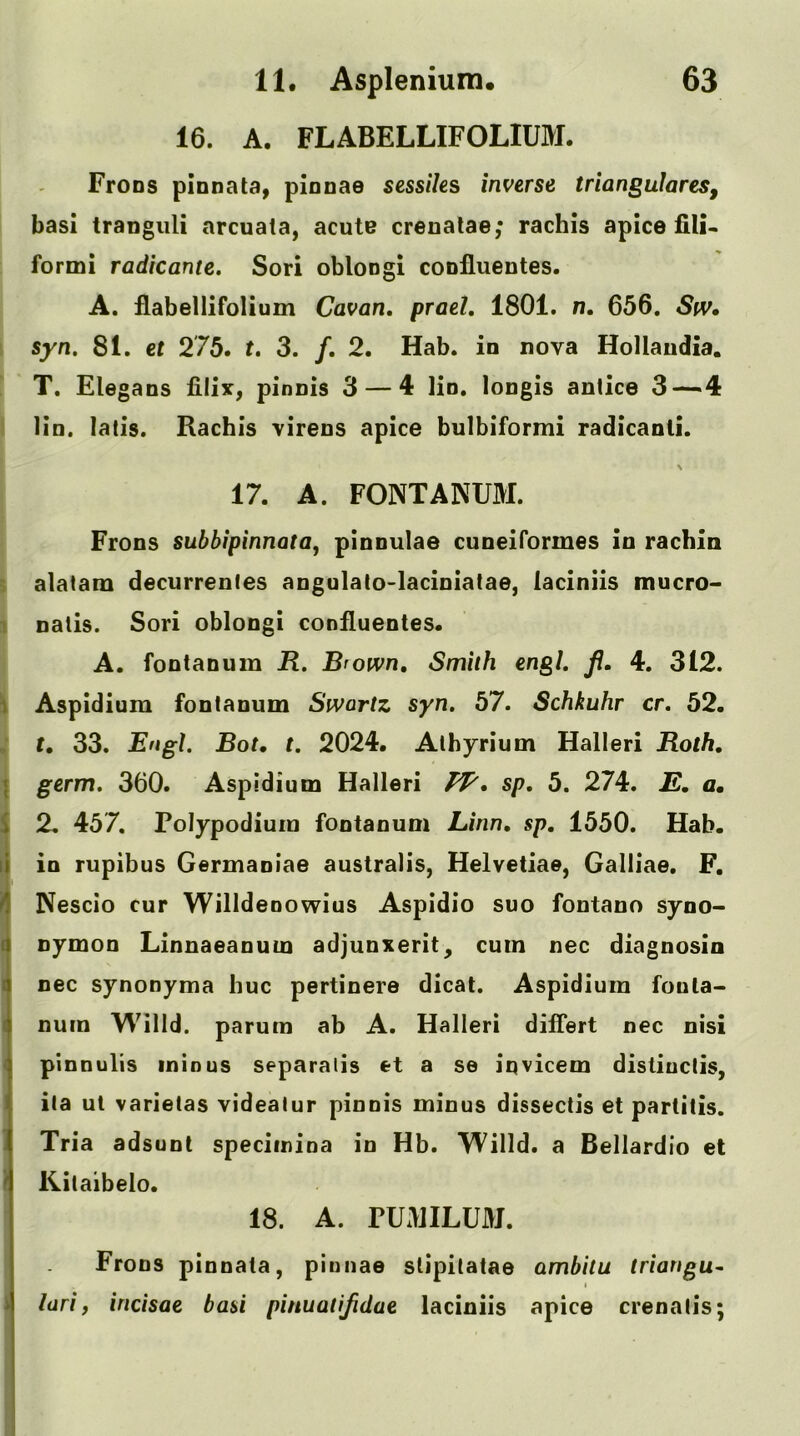 16. A. FLABELLIFOLIUM. ! Frons piDnata, pinnae sessiks inverse triangulares^ basi tranguli arcuata, acute crenalae; rachis apice lili- formi radicante, Sori oblongi confluentes. A. flabellifolium Cavan, prael. 1801. n. 656. Sw» syn, 81. et 275» t. 3. /. 2. Hab. in nova Hollaudia. T. Elegans filix, pinnis 3 — 4 lin, longis antice 3—-4 Ho. latis. Rachis virens apice bulbiformi radicanti. 17. A. FONTANUM. Frons subbipinnata^ pinnulae cuneiformes in rachln ' alatam decurrenles angulato-laciniatae, laciniis mucro- 1 nalis. Sori oblongi confluentes. A. fontanum R. Brown, Smith engl. fl. 4. 312. \ Aspidium fontanum Swartz syn. 57. Schkuhr cr. 52. . t, 33. R'lgi. Rot, t. 2024. Alhyrium Halleri Roth, j germ. 360. Aspidium Halleri sp. 5. 274. E, a, 2. 457. Polypodium fontanum Linn, sp, 1550. Hab. I in rupibus Germaniae australis, Helvetiae, Galliae. F. I Nescio cur Willdenowius Aspidio suo fontano syno- I nymon Linnaeanum adjunxerit^ cum nec diagnosia I nec synonyma hue pertinere dicat. Aspidium fonta- ( nuin Wind, parum ab A. Halleri differt nec nisi < pinnuHs minus separatis et a se iqvicem distiuctis, I ita ul varietas videalur pinnis minus dissectis et partitis. Tria adsunt speciinina in Hb. Willd. a Bellardio el I Kitaibelo. 18. A. rU.HILUM. Frons pinnata, pinnae stipitatae ambitu triangu- I i lari, incisae basi pinuatijidae laciniis apice crenalis;