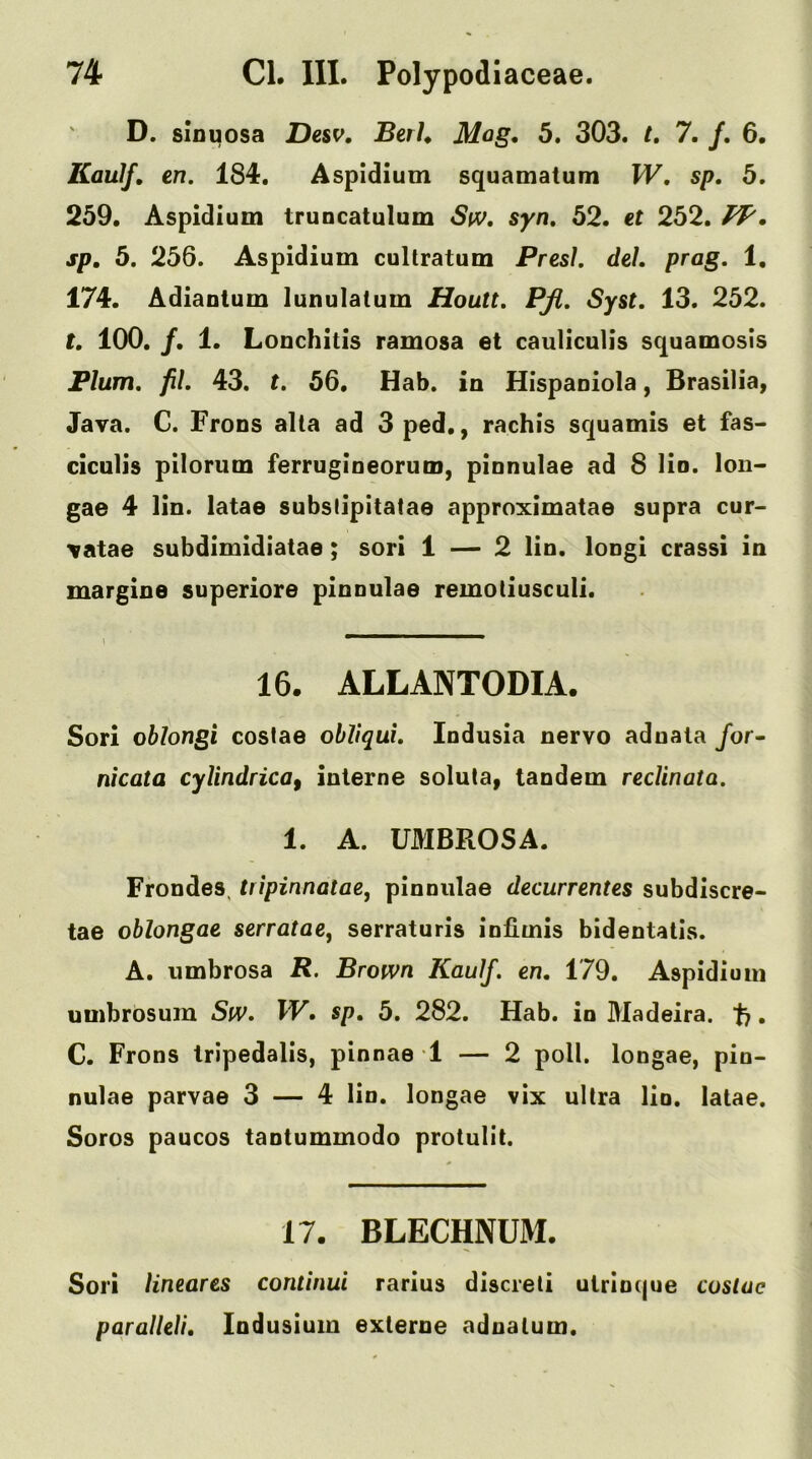 D. slouosa De&v, Beth Mog, 5. 303. /. 7. /. 6. Kau1f» en. 184. Aspidium squamatum W, sp, 5. 259. Aspidium truncatulum Stv. syn, 52. et 252. PP, sp, 5. 256. Aspidium cultratum Presh deh prag. 1, 174. Adianlum lunulatum Houtt, Pji, Syst. 13. 252. t. 100. /. 1. Lonchitis ramosa et cauliculis squamosis Plum. fil. 43. t, 56. Hab. in Hispaniola, Brasilia, Java. C. Frons alia ad 3ped., rachis squamis et fas- ciculis pilonim ferrugineorum, pinnulae ad 8 lio. lon- gae 4 lin. latae subslipitatae approximatae supra cur- \atae subdimidiatae; sori 1 — 2 lin. longi crassi in margine superiore pinnulae remotiusculi. 16. ALLANTODIA. Sori oblongi costae obliqui. Indusia nervo aduala /or- nicata cylindrical interne soluta, tandem reclinata. 1. A. UMBROSA. Frondes, tripinnatae, pinnulae decurrentes subdiscre- tae oblongae serratae, serraturis infimis bidentatis. A. umbrosa R. Brown Kaulf. en, 179. Aspidium umbrosum Sw. IV, sp, 5. 282. Hab. in Madeira, t). C. Frons tripedalis, pinnae 1 — 2 poll, longae, pin- nulae parvae 3 — 4 lin. longae vix ultra lin. latae. Soros paucos tantummodo protulit. 17, BLECHNUM. Sori lineares continui rarius discreli utrinijue costae paralleli, Indusium externe adoalum.
