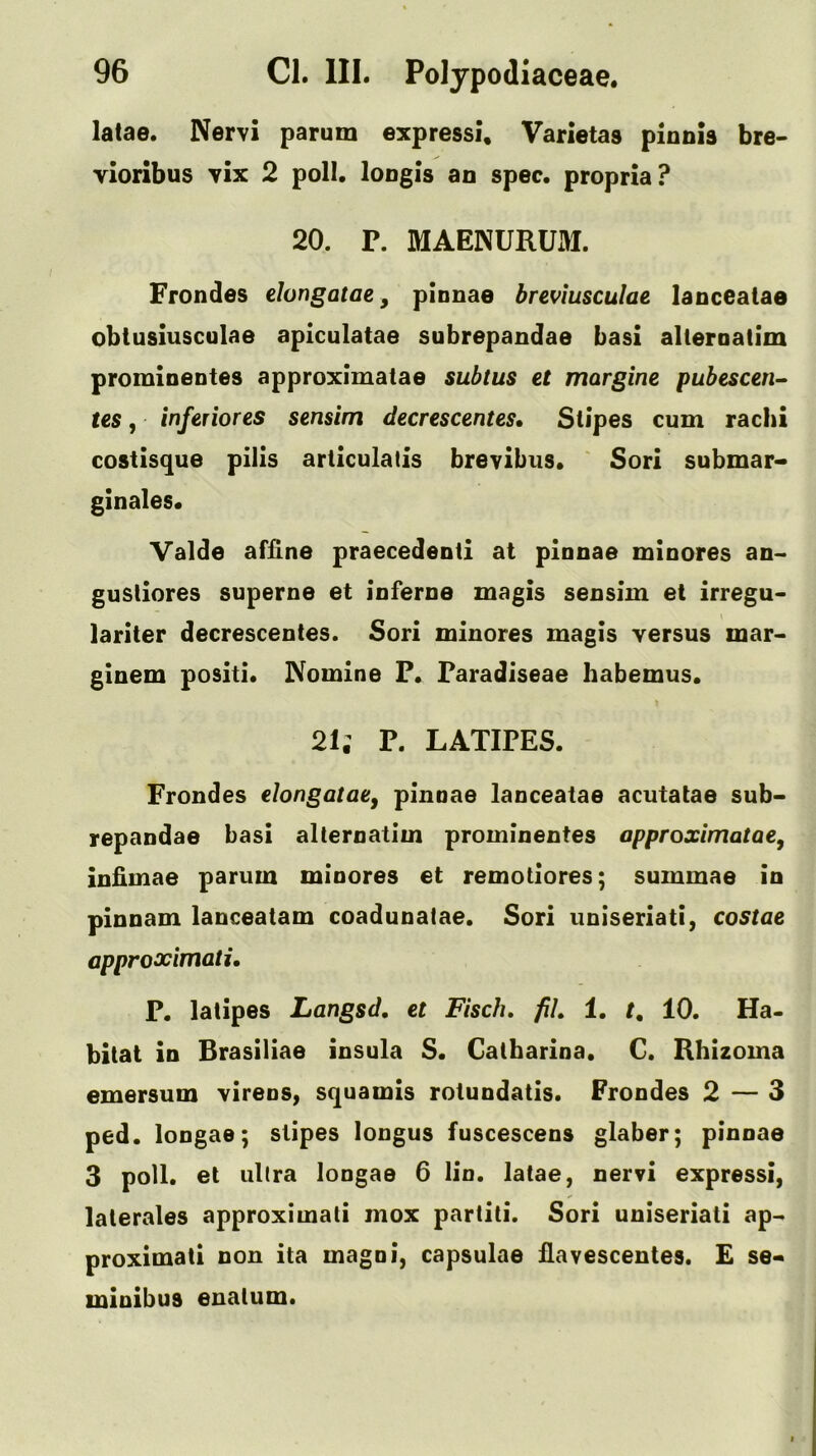 latae. Nervi parum express!, Varietas pionis bre- yioribus vix 2 poll, loogls an spec, propria? 20. r. MAENURUxU Frondes elongatae, pinnae breviusculae lanceatae obtusiusculae apiculatae subrepandae basi alteroatim prominentes approximatae subtus et margine pubescen- tes, inf trior es sensim decrescentes* Stipes cum rachi costisque pills articulatis brevibus. ' Sori submar- ginales. Valde affine praecedenli at pinnae minores an> gusliores superne et Inferne magis sensim et irregu- lariter decrescentes. Sori minores magis versus mar* ginem positl. Nomine F. Faradiseae habemus. 21; F. LATIPES. Frondes elongataty pinnae lanceatae acutatae sub- repandae basi alternatim prominentes approximatae, infimae parum minores et remotlores; summae In pinnam lanceatam coadunatae. Sori uniseriatl, costae approocimatu F. latipes Langsd, et Fisch, fiL 1. 10. Ha- bitat in Braslllae insula S. Gatharina. C. Rhizoma emersum vlrens, squamis rotundatls. Frondes 2 — 3 ped. longae; stipes longus fuscescens glaber; pinnae 3 poll, et ultra longae 6 lio. latae, nervi express!, laterales approximati mox partiti. Sori uniseriati ap- proximati non ita magni, capsulae fiavescentes. £ se- minibus enalum.