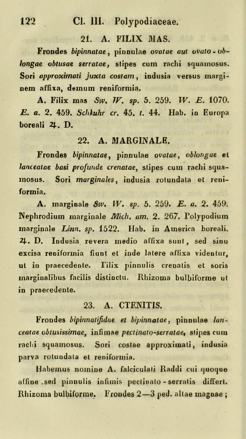 21. A. FILIX MAS. Frondes bipinnatae, pinoulae ovatae out ovato^vb- hngae obtusae serratae, stipes cum rachi squainosus. Sori opproximati juxta costam, indusia versus margt- nem afflxa, demum reniforraia. A. Filix mas Siv. TV. sp. 5. 259. W, £. 1070. £, a. 2. 459. Schhuhr cr. 45. t. 44. Hab. in Europa boreali 2]., D. 22. A. MARGINALE, Frondes bipinnatae^ pinnulae ovatae, oblongae el lanceatae basi profunde crenatae, stipes cum rachi squa- inosus. Sori marginales, indusia rotundala el reui- formia. A. marginals SfV, IV, sp. 5. 259. £. a, 2. 459. Nephrodium marginale Mich, am. 2. 267. Folypodium marginals Linn, sp, 1522. Hab. in America boreali. 2^, D. Indusia, revera medio affixa suul, sed sinu excisa reniformia fiunt el inde latere affixa videntur, ut in praecedeote. Filix pinnulis crenatis et soris marginalibus facilis distinctu. Rhizoma bulbiforme ut in praecedente. 23. A. CTENITIS. Frondes bipinnalijidae et bjpinnatae, pinnulae /un- ceatae obtusissimae, iniimae pectinato~serratae^ stipes cum radii squamosus. Sori costae approximati, indusia parva roiundata et reniformia. Habemus nomine A. falciculail Raddi cui quoque affine ,sed pinnulis infimis peclinalo - serratis dilTerl. Rhizoma bulbiforme. Frondes 2—3 ped. allae magnae ;
