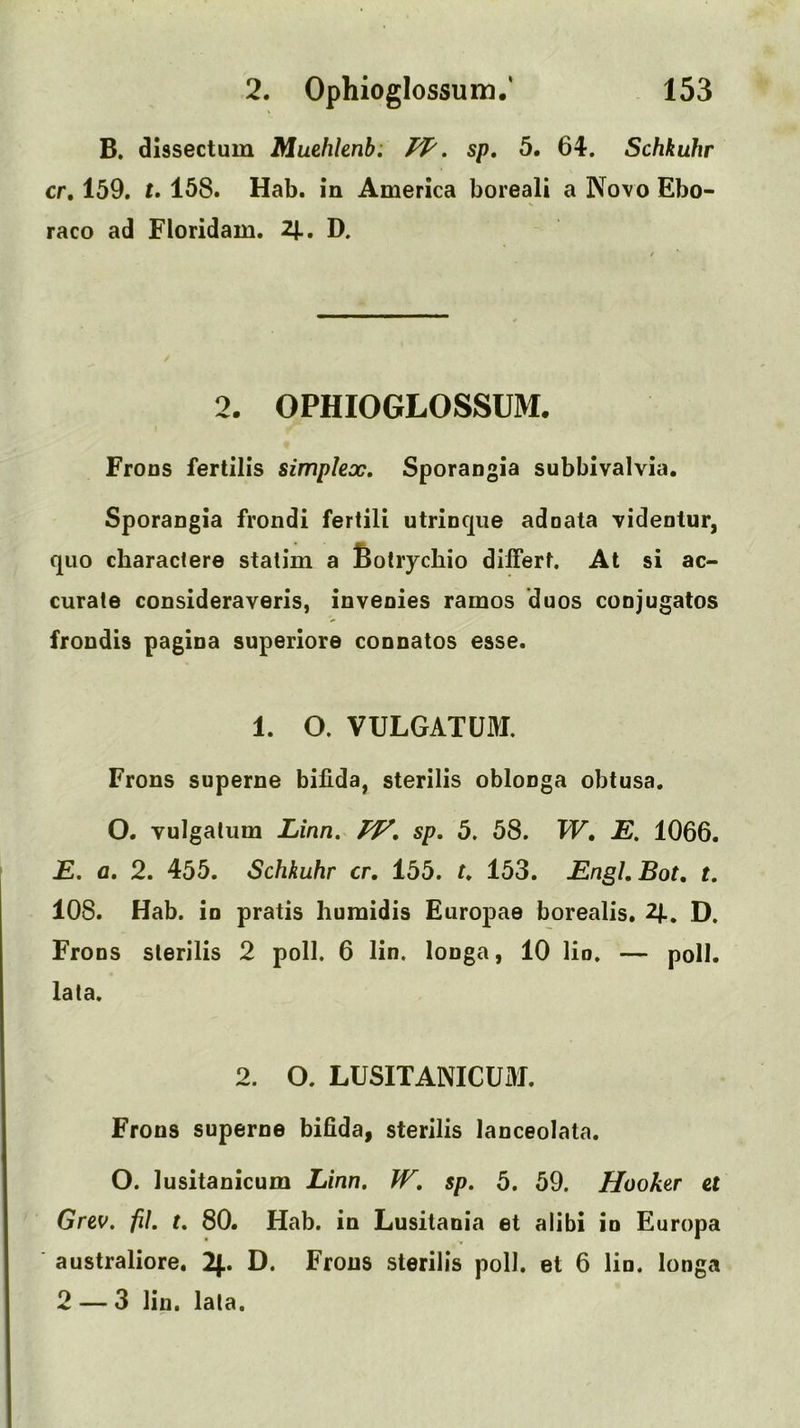 B. dlssectum Muehknb; FP. sp, 5. 64. Schkuhr cr, 159. t. 158. Hab. in America boreali a Novo Ebo- raco ad Floridam. 2|., D. 2. OPHIOGLOSSUM. Frons fertilis simplex. Sporangia subbivalvia. Sporangia frondi fertili utrinque adnata videntur, quo characlere statim a Botrychio differt. At si ac- curate consideraveris, inveoies ramos duos conjugates frondis pagina superiore connatos esse. 1. O. VULGATUM. Frons superne bifida, sterilis oblonga obtusa, O. vulgalum Linn. PF, sp, 5. 58. W, E, 1066. JE. fl. 2. 455. Schkuhr cr, 155. t, 153. EnghBot, t, 108. Hab. in pratis huraidis Europae borealis. D. Frons sterilis 2 poll. 6 lin. longa, 10 lio. — poll, lata. 2. O. LUSITANICUM. Frons superne bifida, sterilis lanceolata. O. lusitanicum Linn, W, sp, 5. 59. Hooker et Greo. fil, t, 80. Hab. in Lusitania et alibi in Europe australiore. 2|.. D. Frons sterilis poll, et 6 lin. longa 2 — 3 lin. lata.
