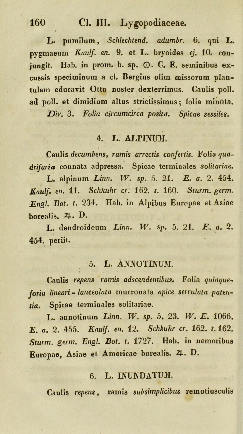 L. pumilum, Schlechtend, adumbr. 6. qiii L. pygmaeum Kaulf. en, 9. et L. bryoides ej, 10. con- juogit. Hab. in prom. b. sp. Q. C, E, seminibus ex- cussis speciminum a cl. Bergius ollm missorum plan- tulam ediicavit Otto nosfer dexterrimus. Caulis poll, ad poll, et dimidium altus strictissimus; folia minflta. 2Div, 3. Folia circumcirca posit a, Spkae sessiles. 4. L. ALPINUM. I Caulis decumbens, ramis arrectis confertis. Folia qua- drifaria connata adpressa. Spicae termioales solilariaz, L. alpinum Linn. TV. sp. 5. 21. JS. a. 2. 454. Kaulf. en. 11. Sclikuhr cr. 162. t. 160. Sturm, germ. JEngl. Bot. t. 234. Hab. in Alpibus Europae et Asiae borealis. 2|., D. L. dendroidenm Linn. W. sp, 5. 21. E. a, 2. 454. periil. 5. L. ANNOTINUM. Caulis repens ramis adscendentibus. Folia quinque^ foria lineari - lanceolata mucronata opice serrulata pateri- tia, Spicae termioales solitariae. L. annolinura Linn. TV. sp. 5. 23. TV, E, 1066. E, a. 2. 455. Kaulf. en. 12. Schkuhr cr. 162. 1.162. Sturm, germ. Engl. Bot. t, 1727. Hab. in nemoribus Europae, Asiae et Americae borealis. 2T. D. 6. L. INUNDATUM. Caulis repens, ramis subsimpUcibus remoliusculis