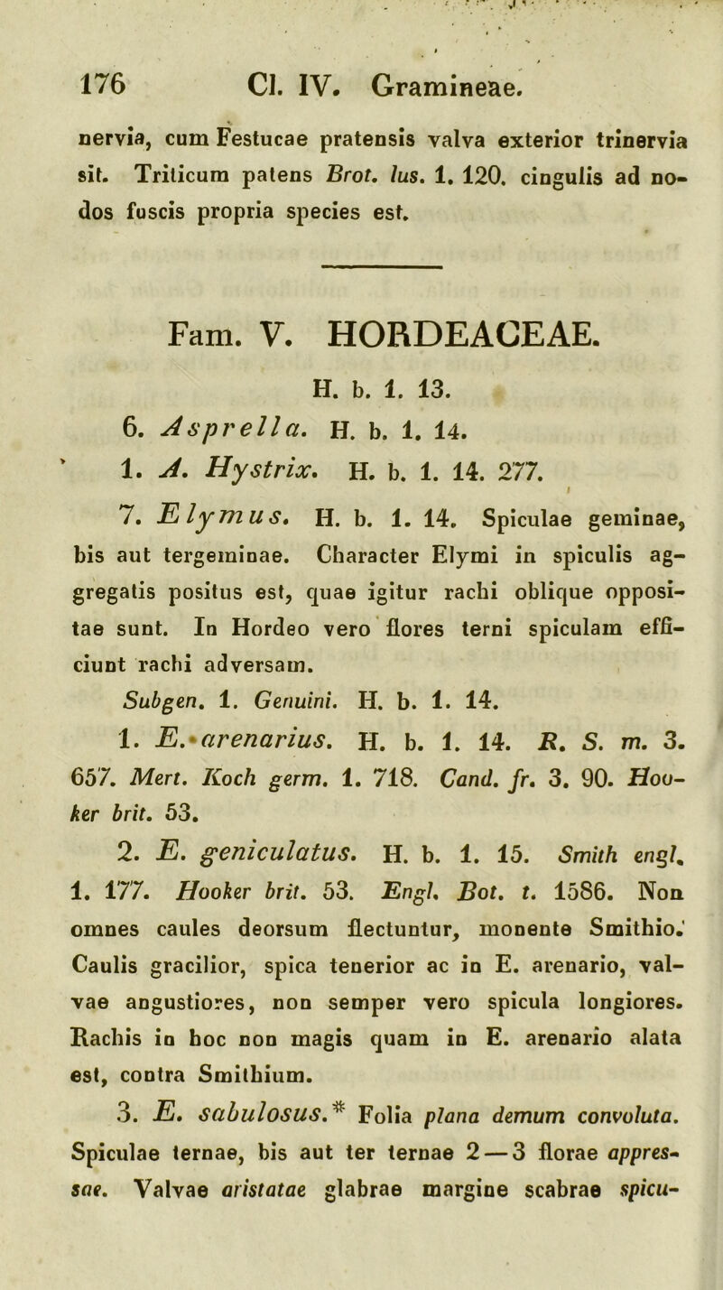 nervia, cum Festucae pratensis valva exterior trinervia sit. Triticum patens Brot. lus, 1, 120. cingulis ad no- dos fuscis propria species est. Fam. V. HORDEAGEAE. H. b. 1. 13. 6. Asprella. H. b. 1, 14. 1. A. Hystrix. H. b. 1. 14. 277. I 7. E lymuH. b. 1. 14, Spiculae geminae, bis aut tergeminae. Character Elymi in spiculis ag- gregalis positus est, quae igitur rachi oblique opposi- tae sunt. In Hordeo vero flores terni spiculam effi- ciunt rachi adversam. Subgen, 1. Genuini. H. b. 1. 14. 1. E.^arenarius, H. b. 1. 14. R. S. m. 3. 657. Men. Koch germ. 1. 718. Cand. fr, 3. 90. Hoo- ker brit, 53. 2. E. geniculatus. H. b. 1. 15. Smith enqh 1. 177. Hooker brit. 53. EngU Bot. t. 1586. Non omnes caules deorsum flectuntur, monente Smithio. Caulis gracilior, spica tenerior ac in E. arenario, val- vae angustiores, non semper vero spicula longiores. Kachis in hoc non magis quam in E. arenario alata est, contra Smithium. 3. E, sabulosus,^ Folia plana demum convoluta. Spiculae ternae, bis aut ter ternae 2 — 3 florae appres- sae. Valvae aristatae glabrae margine scabrae spicu-