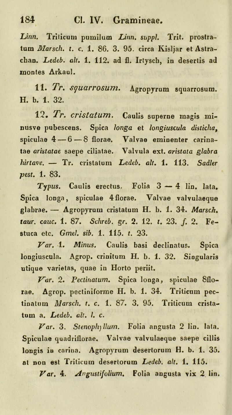 I Linn. Trilicum pumilum Linn. suppL Trlt. proslra- turn Marsch, t. c. 1. 86. 3. 95. circa Kisljar et Aslra- chan. Ledeb. alt, 1. 112. ad £1. IrJyscb, in deserlis ad montes Arkaul. 11. T'r, s^uarrosum, Agropyrum squarrosum. H. b. 1. 32. 12# Tr. CristutUTTl. Caulls superne magis mi- nusve pubescens. Spica longa et longiuscula disticha, spiculae 4 — 6 — 8 florae, Valvae emioenter carina- tae aristatae saepe ciliatae. Valvula ext. aristata glabra hirtave. — Tr. cristatum Ledeb, alt, 1. 113. Sadler pest, 1. 83. Typus, Caulis erectus. Folia 3 — 4 lin. lata, Spica longa, spiculae 4florae. Valvae valvulaeque glabrae. — Agropyrum cristatum H. b. 1. 34. Marsch, taur. cauc, 1. 87. Schreb. gr. 2. 12. t, 23. /. 2. Fe- stuca etc. Gmel, sib. 1. 115. t. 23. T^ar. 1. Minus. Caulis basi declinatus. Spica longiuscula. Agrop. crinitum H. b. 1, 32. Singularis utique varielas, quae in Horto periit. J^ar. 2. Pectinatum. Spica longa, spiculae 8flo- rae. Agrop. pectiniforme H. b. 1. 34. Triticnm pec- tinalum Marsch. t. c. 1. 87. 3. 95. Trilicum crista- tum a. Ledeb, alt. 1. c. Var. 3. Stenopliyllurn. Folia angusta 2 lin. lata. Spiculae quadriflorae. Valvae valvulaeque saepe cillis longis ia carlna. Agropyrum deserlorum H. b. 1. 35. at non esl Trilicum deserlorum Ledeb. alt. 1. 115. y ar, 4. An gusli folium. Folia angusta vix 2. lin.