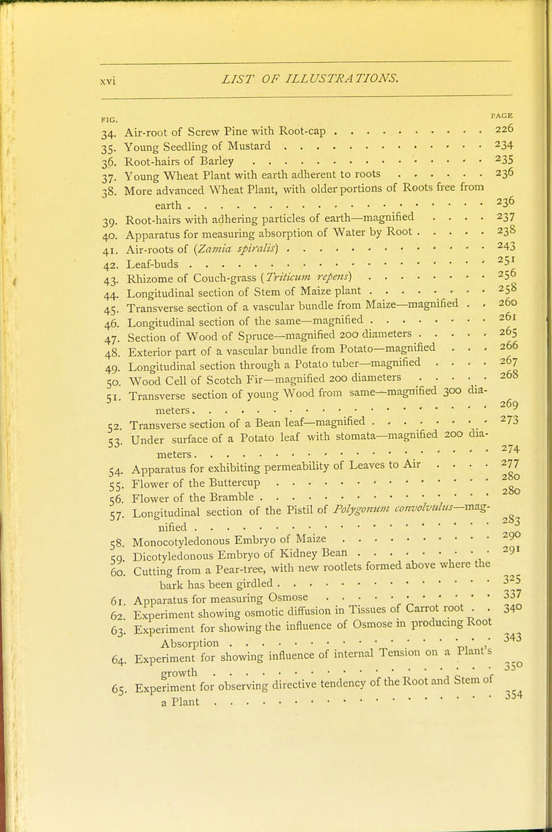 FIG. '■^^^ 34. Air-root of Screw Pine with Root-cap 226 35. Young Seedling of Mustard 234 36. Root-hairs of Barley 235 37. Young Wheat Plant with earth adherent to roots 236 38. More advanced Wheat Plant, with older portions of Roots fre« from earth 236 39. Root-hairs with adhering particles of earth—magnified .... 237 40. Apparatus for measuring absorption of Water by Root 238 41. Air-roots of {Zamia spinalis) 243 42. Leaf-buds 43. Rhizome of Couch-grass (Triticum repens) 256 44. Longitudinal section of Stem of Maize plant 258 45. Transverse section of a vascular bundle from Maize—magnified . . 260 46. Longitudinal section of the same—magnified 261 47. Section of Wood of Spnice—magnified 200 diameters 265 48. Exterior part of a vascular bundle from Potato—magnified ... 266 49. Longitudinal section tlirough a Potato tuber—magnified .... 267 50. Wood Cell of Scotch Fir—magnified 200 diameters . . . • • 268 ■;t Transverse section of young Wood from same—magnified 300 dia- ■ ^ 269 meters ^ 52 Transverse section of a Bean leaf—magnified 273 t.x Under surface of a Potato leaf with stomata—magnified 200 dia- . . 274 meters _ • ' 54. Apparatus for exhibiting permeability of Leaves to Air .... 277 55. Flower of the Buttercup 56. Flower of the Bramble • 57. Longitudinal section of the Pistil of Polygonum convolvulm-T^^ig- nified ~ ^ 58. Monocotyledonous Embryo of Maize ^9° ZQ Dicotyledonous Embryo of Kidney Bean ,' ' ,  60. Cutting from a Pear-tree, with new rootlets formed above where the bark has been girdled 61. Apparatus for measuring Osmose ' \ ' ' ^^l. 62 Experiment showing osmotic diffusion in Tissues of Carrot root . . 340 63. Experiment for showing the influence of Osmose in producmg Root Absorption 'r)i \i' ''^^ 64. Experiment for showing influence of internal Tension on a Plants 65. ExpeHmln^for observing directive tendency of the Root and Stem of a Plant