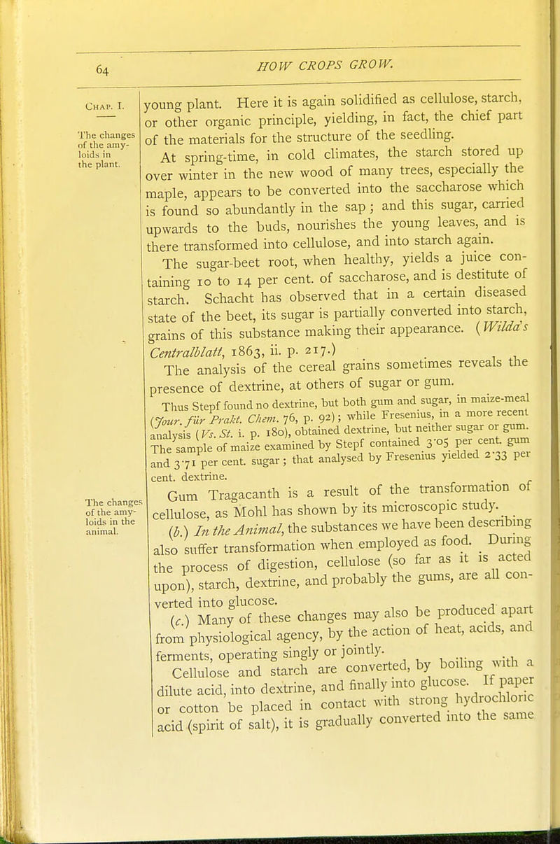 Chap. I. The changes of the amy- loids in the plant. The changes of the amy- loids in the animal. young plant. Here it is again solidified as cellulose, starch, or other organic principle, yielding, in fact, the chief part of the materials for the structure of the seedhng. At spring-time, in cold climates, the starch stored up over winter in the new wood of many trees, especially the maple, appears to be converted into the saccharose which is found so abundantly in the sap ; and this sugar, carried upwards to the buds, nourishes the young leaves,_and is there transformed into cellulose, and into starch again. The sugar-beet root, when healthy, yields a juice con- taining Io to 14 per cent, of saccharose, and is destitute of starch. Schacht has observed that in a certain diseased state of the beet, its sugar is partially converted into starch, grains of this substance making their appearance. (Wildds Centralblatt, 1863, ii. p. 217.) The analysis of the cereal grains sometimes reveals the presence of dextrine, at others of sugar or gum. Thus Stepf found no dextrine, but both gum and sugar, in maize-meal (7our.fur Frakt. Chem. 76, p. 9^); while Fresenius, in a more recent analysis {Vs. St. i. p. 180), obtained dextrine, but neither sugar or gum. ¥l7sample of maiL examined by Stepf contained 3-05 per cent, gum and 3 77percent. sugar; that analysed by Fresenius yielded 2-33 per cent, dextrine. Gum Tragacanth is a result of the transformation of cellulose, as Mohl has shown by its microscopic study. lb ) In the Animal, the substances we have been descnbmg also suffer transformation when employed as food. During the process of digestion, cellulose (so far as it is acted upon), starch, dextrine, and probably the gums, are all con- verted into elucose. (O Many of these changes may also be produced apart from physiological agency, by the action of heat, acids, and ferments, operating singly or jomtly. Cellulose and starch are converted, by Coding with a dilute acid, into dextrine, and finally mto glucose. If paper or cotton be placed in contact with strong hychochlonc acid (spirit of salt), it is gradually converted into the same