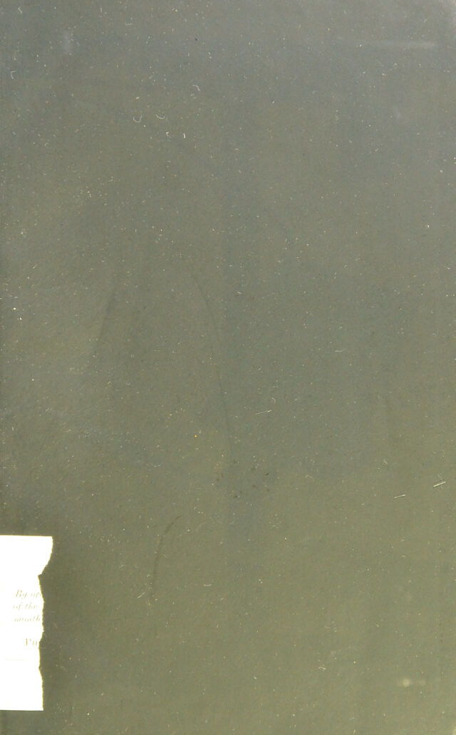 digitised image 3