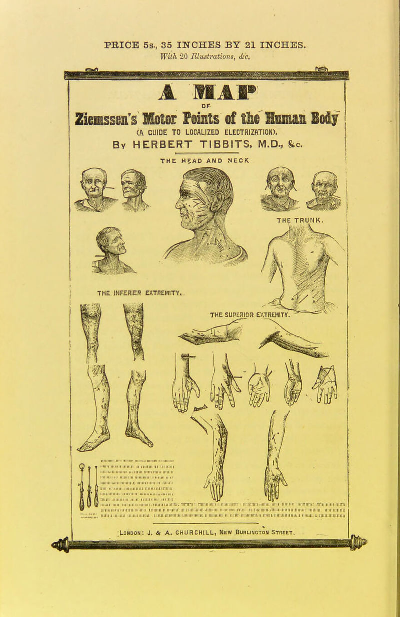 PRICE 5s., 35 INCHES BY 21 INCHES. Wilh 20 Rluatratiom, <tc. OP 2SGmssGn's Molor Points of tk Human Body (A GUIDE TO LOCALIZED ELECTRIZATION). By HERBERT TIBBITS, M.D., &c. THE H5AD AND NECK London: J. * A. CHURCHILL, New Burlington Street.
