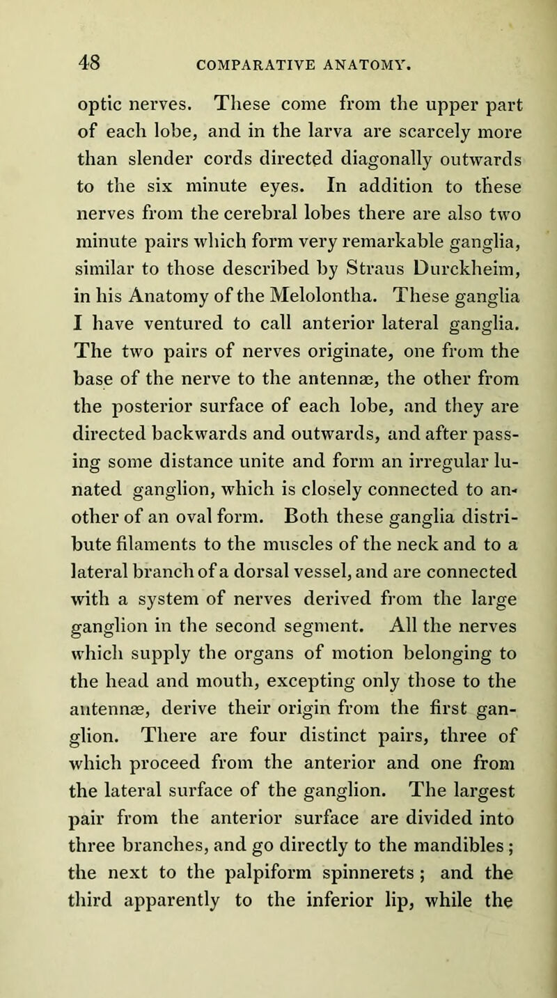 optic nerves. These come from the upper part of each lobe, and in the larva are scarcely more than slender cords directed diagonally outwards to the six minute eyes. In addition to these nerves from the cerebral lobes there are also two minute pairs which form very remarkable ganglia, similar to those described by Straus Durckheim, in his Anatomy of the Melolontlia. These ganglia I have ventured to call anterior lateral ganglia. The two pairs of nerves originate, one from the base of the nerve to the antennas, the other from the posterior surface of each lobe, and they are directed backwards and outwards, and after pass- ing some distance unite and form an irregular lu- nated ganglion, which is closely connected to an- other of an oval form. Both these ganglia distri- bute filaments to the muscles of the neck and to a lateral branch of a dorsal vessel, and are connected with a system of nerves derived from the large ganglion in the second segment. All the nerves which supply the organs of motion belonging to the head and mouth, excepting only those to the antennas, derive their origin from the first gan- glion. There are four distinct pairs, three of which proceed from the anterior and one from the lateral surface of the ganglion. The largest pair from the anterior surface are divided into three branches, and go directly to the mandibles ; the next to the palpiform spinnerets ; and the third apparently to the inferior lip, while the