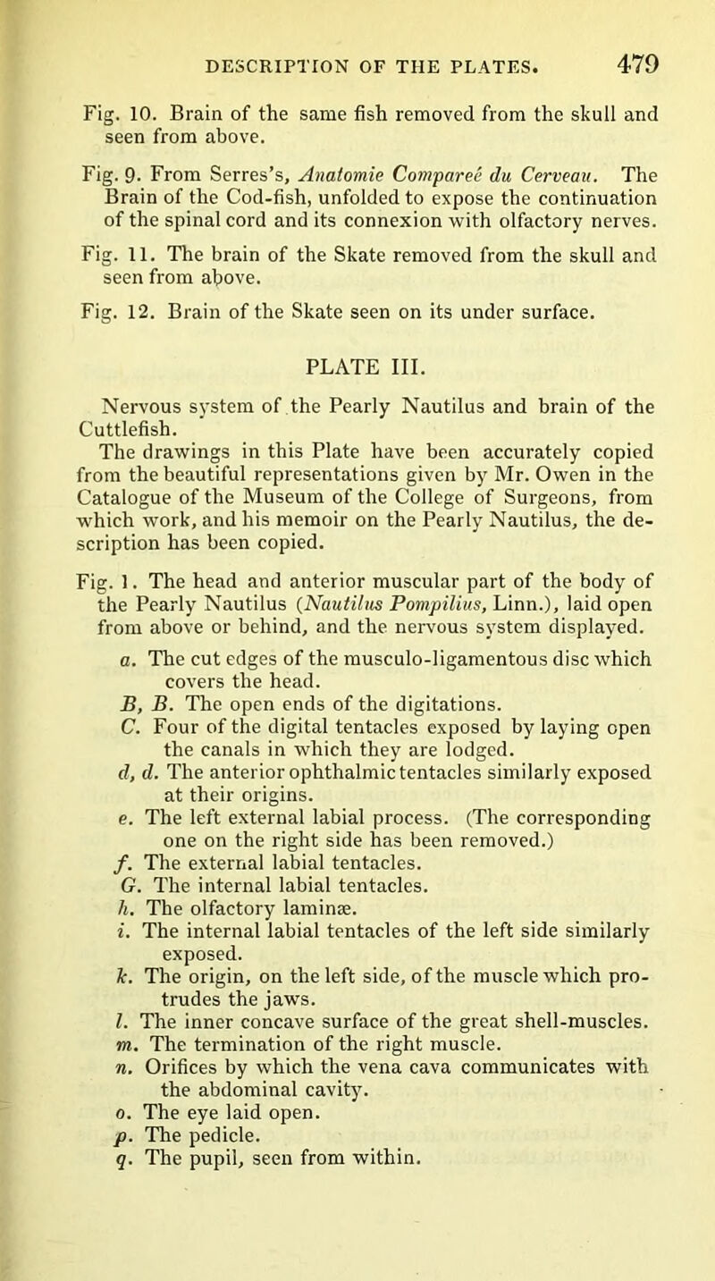 Fig. 10. Brain of the same fish removed from the skull and seen from above. Fig. 9- From Serres’s, Anatomie Comparee du Cerveau. The Brain of the Cod-fish, unfolded to expose the continuation of the spinal cord and its connexion with olfactory nerves. Fig. 11. The brain of the Skate removed from the skull and seen from above. Fig. 12. Brain of the Skate seen on its under surface. PLATE III. Nervous system of the Pearly Nautilus and brain of the Cuttlefish. The drawings in this Plate have been accurately copied from the beautiful representations given by Mr. Owen in the Catalogue of the Museum of the College of Surgeons, from which work, and his memoir on the Pearly Nautilus, the de- scription has been copied. Fig. 1. The head and anterior muscular part of the body of the Pearly Nautilus (Nautilus Pompilius, Linn.), laid open from above or behind, and the nervous system displayed. a. The cut edges of the musculo-ligamentous disc which covers the head. B, B. The open ends of the digitations. C. Four of the digital tentacles exposed by laying open the canals in which they are lodged. d, d. The anterior ophthalmic tentacles similarly exposed at their origins. e. The left external labial process. (The corresponding one on the right side has been removed.) /. The external labial tentacles. G. The internal labial tentacles. h. The olfactory laminae. i. The internal labial tentacles of the left side similarly exposed. k. The origin, on the left side, of the muscle which pro- trudes the jaws. l. The inner concave surface of the great shell-muscles. m. The termination of the right muscle. n. Orifices by which the vena cava communicates with the abdominal cavity. o. The eye laid open. p. The pedicle. q. The pupil, seen from within.