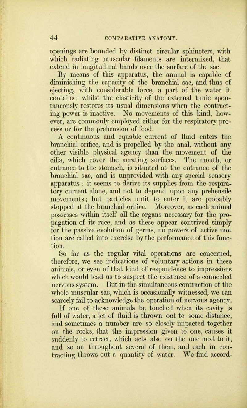 openings are bounded by distinct circular sphincters, with which radiating muscular filaments are intermixed, that extend in longitudinal bands over the surface of the sac. By means of this apparatus, the animal is capable of diminishing the capacity of the branchial sac, and thus of ejecting, with considerable force, a part of the water it contains; whilst the elasticity of the external tunic spon- taneously restores its usual dimensions when the contract- ing power is inactive. No movements of this kind, how- ever, are commonly employed either for the respiratory pro- cess or for the prehension of food. A continuous and equable current of fluid enters the branchial orifice, and is propelled by the anal, without any other visible physical agency than the movement of the cilia, which cover the aerating surfaces. The mouth, or entrance to the stomach, is situated at the entrance of the branchial sac, and is unprovided with any special sensory apparatus; it seems to derive its supplies from the respira- tory cmTent alone, and not to depend upon any prehensile movements; but particles unfit to enter it are probably stopped at the branchial orifice. Moreover, as each animal possesses within itself all the organs necessary for the pro- pagation of its race, and as these appear contrived simply for the passive evolution of germs, no powers of active mo- tion are called into exercise by the performance of this func- tion. So far as the regular vital operations are concerned, therefore, we see indications of voluntary actions in these animals, or even of that kind of respondence to impressions which would lead us to suspect the existence of a connected nervous system. But in the simultaneous contraction of the whole muscular sac, which is occasionally witnessed, we can scarcely fail to acknowledge the operation of nervous agency. If one of these animals be touched when its cavity is full of water, a jet of fluid is thrown out to some distance, and sometimes a number are so closely impacted together on the rocks, that the impression given to one, causes it suddenly to retract, which acts also on the one next to it, and so on throughout several of them, and each in con- tracting throws out a quantity of water. We find accord-