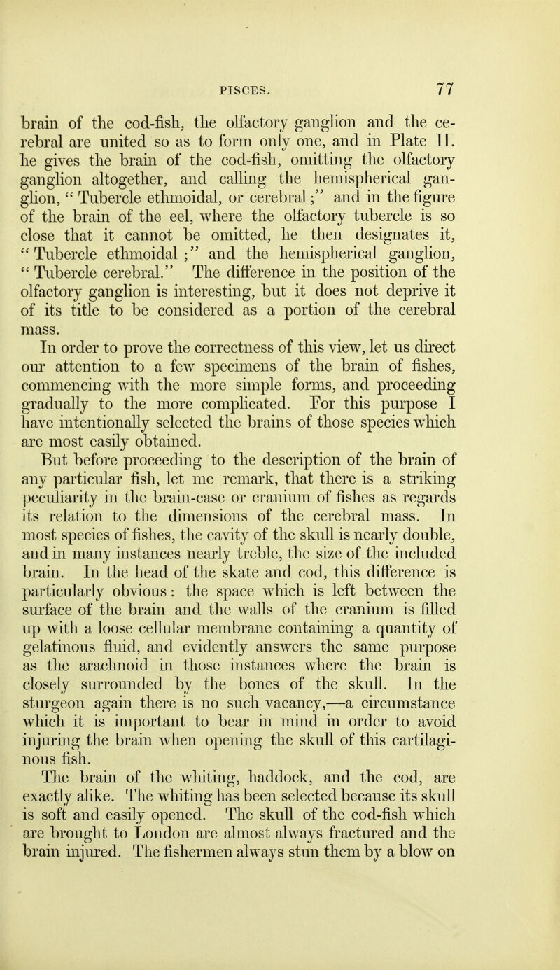 brain of tlie cod-fisli, the olfactory ganglion and the ce- rebral are united so as to form only one, and in Plate II. lie gives tlie brain of the cod-fish, omitting the olfactory ganglion altogether, and calling the hemispherical gan- glion,  Tubercle ethmoidal, or cerebral; and in the figure of the brain of the eel, where the olfactory tubercle is so close that it cannot be omitted, he then designates it, Tubercle ethmoidal; and the hemispherical ganglion,  Tubercle cerebral. The difierence in the position of the olfactory ganglion is interesting, but it does not deprive it of its title to be considered as a portion of the cerebral mass. In order to prove the correctness of this view, let us direct our attention to a few specimens of the brain of fishes, commencing with the more simple forms, and proceeding gradually to the more complicated. Por this purpose I have intentionally selected the brains of those species which are most easily obtained. But before proceeding to the description of the brain of any particular fish, let me remark, that there is a striking peculiarity in the brain-case or cranium of fishes as regards its relation to the dimensions of the cerebral mass. In most species of fishes, the cavity of the skull is nearly double, and in many instances nearly treble, the size of the included brain. In the head of the skate and cod, this difference is particularly obvious: the space which is left between the surface of the brain and the walls of the cranium is filled up with a loose cellular membrane containing a quantity of gelatinous fluid, and evidently answers the same purpose as the arachnoid in those instances where the brain is closely surrounded by the bones of the skull. In the sturgeon again there is no such vacancy,—a circumstance which it is important to bear in mind in order to avoid injuring the brain when opening the skull of this cartilagi- nous fish. The brain of the whiting, haddock, and the cod, are exactly alike. The whiting has been selected because its skull is soft and easily opened. The skull of the cod-fish which are brought to London are almost always fractured and the brain injured. The fishermen always stun them by a blow on