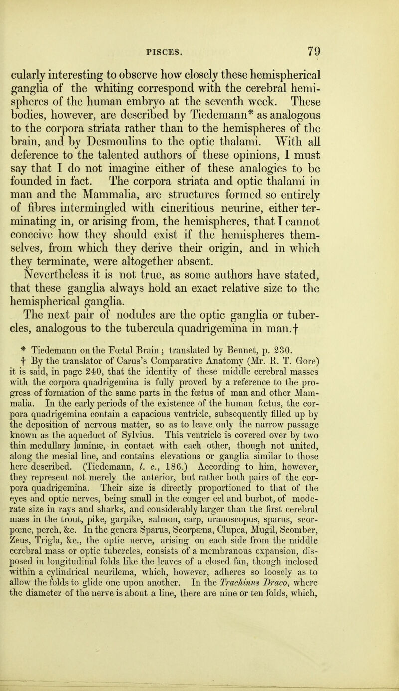 cularly interesting to observe how closely these hemispherical ganglia of the whiting correspond with the cerebral hemi- spheres of the human embryo at the seventh week. These bodies, however, are described by Tiedemann* as analogous to the corpora striata rather than to the hemispheres of the brain, and by Desmoulins to the optic thalami. With all deference to the talented authors of these opinions, I must say that I do not imagine either of these analogies to be founded in fact. The corpora striata and optic thalami in man and the Mammalia, are structures formed so entirely of fibres intermingled with cineritious neurine, either ter- minating in, or arising from, the hemispheres, that I cannot conceive how they should exist if the hemispheres them- selves, from which they derive their origin, and in which they terminate, were altogether absent. Nevertheless it is not true, as some authors have stated, that these ganglia always hold an exact relative size to the hemispherical ganglia. The next pair of nodules are the optic ganglia or tuber- cles, analogous to the tubercula quadrigemina in man.f * Tiedemann on the Poetal Erain; translated by Bennet, p. 230. f By the translator of Carus's Comparative Anatomy (Mr. E. T. Gore) it is said, in page 240, that the identity of these middle cerebral masses with the corpora quadrigemina is fully proved by a reference to the pro- gress of formation of the same parts in the fcetus of man and other Mam- malia. In the early periods of the existence of the human foetus, the cor- pora quadrigemina contain a capacious ventricle, subsequently filled up by the deposition of nervous matter, so as to leave, only the narrow passage known as the aqueduct of Sylvius. This ventricle is covered over by two thin medullary laminae, in contact with each other, though not united, along the mesial line, and contains elevations or ganglia similar to those here described. (Tiedemann, I. c, 186.) According to him, however, they represent not merely the anterior, but rather both pairs of the cor- pora quadrigemina. Their size is dii^ectly proportioned to that of the eyes and optic nerves, being small in the conger eel and burbot, of mode- rate size in rays and sharks, and considerably larger than the first cerebral mass in the trout, pike, garpike, salmon, carp, uranoscopus, sparus, scor- pcene, perch, &c. In the genera Sparus, Scorpsena, Clupea, Mugil, Scomber, Zeus, Trigia, &c., the optic nerve, arising on each side from the middle cerebral mass or optic tubercles, consists of a membranous expansion, dis- posed in longitudinal folds like the leaves of a closed fan, though inclosed within a cylindrical neurdema, which, however, adheres so loosely as to allow the folds to glide one upon another. In the TracMnus Draco, where the diameter of the nerve is about a line, there are nine or ten folds, which.