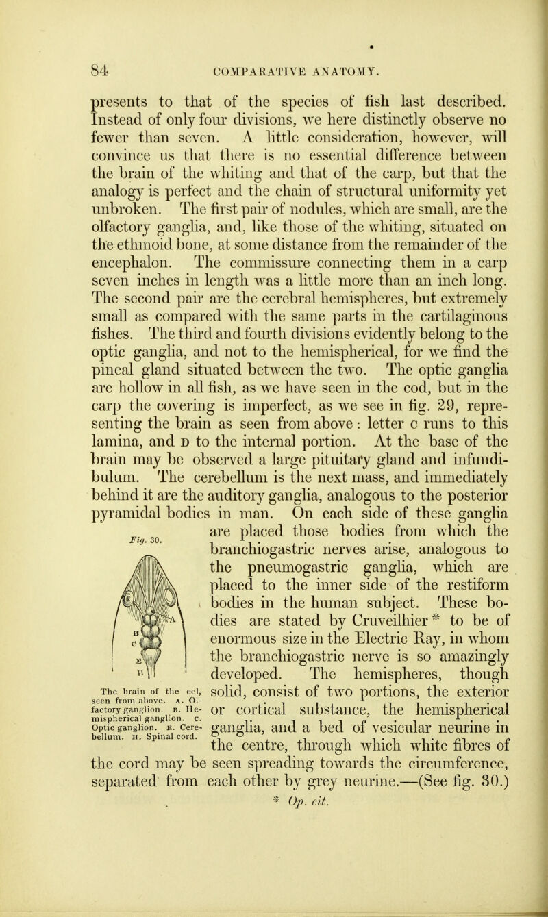 presents to that of the species of fish last described. Instead of only four divisions, we here distinctly observe no fewer than seven. A little consideration, however, will convince us that there is no essential difference between the brain of the whiting and that of the carp, but that the analogy is perfect and the chain of structural uniformity yet unbroken. The first pair of nodules, which are small, are the olfactory ganglia, and, like those of the whiting, situated on the ethmoid bone, at some distance from the remainder of the encephalon. The commissure connecting them in a carp seven inches in length was a little more than an inch long. The second pair are the cerebral hemispheres, but extremely small as compared with the same parts in the cartilaginous fishes. The third and fourth divisions evidently belong to the optic ganglia, and not to the hemispherical, for we find the pineal gland situated between the two. The optic ganglia are hollow in all fish, as we have seen in the cod, but in the carp the covering is imperfect, as we see in fig. 29, repre- senting the brain as seen from above: letter c runs to this lamina, and d to the internal portion. At the base of the brain may be observed a large pituitary gland and infundi- bulum. The cerebellum is the next mass, and immediately behind it are the auditory ganglia, analogous to the posterior pyramidal bodies in man. On each side of these ganglia ^.^ are placed those bodies from which the branchiogastric nerves arise, analogous to the pneumogastric ganglia, which are placed to the inner side of the restiform bodies in the human subject. These bo- dies are stated by Cruveilhier * to be of enormous size in the Electric Ray, in whom the branchiogastric nerve is so amazingly developed. The hemispheres, though The brail, of the eel, solld, cousist of two Dortious, thc exterior seen from above, a. Ol- , ' i r , ,i i - i- i factory ganglion B. He- or cortical substaucc, thc hemispherical mispherical ganglion, c. iiir •! •• benunr^f's'ir?i cord''' g^^gh^j ^^^d a Dcd 01 vesicular neurme m the centre, through which white fibres of the cord may be seen spreading towards the circumference, separated from each other by grey neurine.—(See fig. 30.) ^ Op. cit.