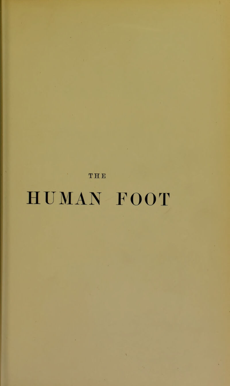 THE HUMAN FOOT