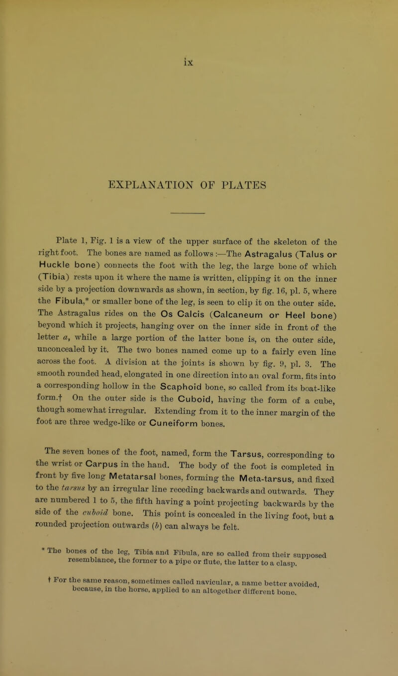 EXPLANATION OF PLATES Plate 1, Fig. 1 is a view of the upper surface of the skeleton of the right foot. The bones are named as follows :—The Astragalus (Talus or Huckle bone) connects the foot with the leg, the large bone of which (Tibia) rests upon it where the name is written, clipping it on the inner side by a projection downwards as shown, in section, by fig. 16, pi. 5, where the Fibula,* or smaller bone of the leg, is seen to clip it on the outer side. The Astragalus rides on the Os Calcis (Calcaneum or Heel bone) beyond which it projects, hanging over on the inner side in front of the letter a, while a large portion of the latter bone is, on the outer side, unconcealed by it. The two bones named come up to a fairly even line across the foot. A division at the joints is shown by fig. 9, pi. 3. The smooth rounded head, elongated in one direction into an oval form, fits into a corresponding hollow in the Scaphoid bone, so called from its boat-like form.f On the outer side is the Cuboid, having the form of a cube, though somewhat irregular. Extending from it to the inner margin of the foot are three wedge-like or Cuneiform bones. The seven bones of the foot, named, form the Tarsus, corresponding to the wrist or Carpus in the hand. The body of the foot is completed in front by five long Metatarsal bones, forming the Meta-tarsus, and fixed to the tarsvs by an irregular line receding backwards and outwards. They are numbered 1 to .5, the fifth having a point projecting backwards by the side of the enhoid bone. This point is concealed in the living foot, but a rounded projection outwards [h] can always be felt. * The bones of the leg, Tibia and Fibula, are so called from their supposed resemblance, the former to a pipe or flute, the latter to a clasp. t For the same reason, sometimes called navicular, a name better avoided because, m the horse, applied to an altogether different bone.